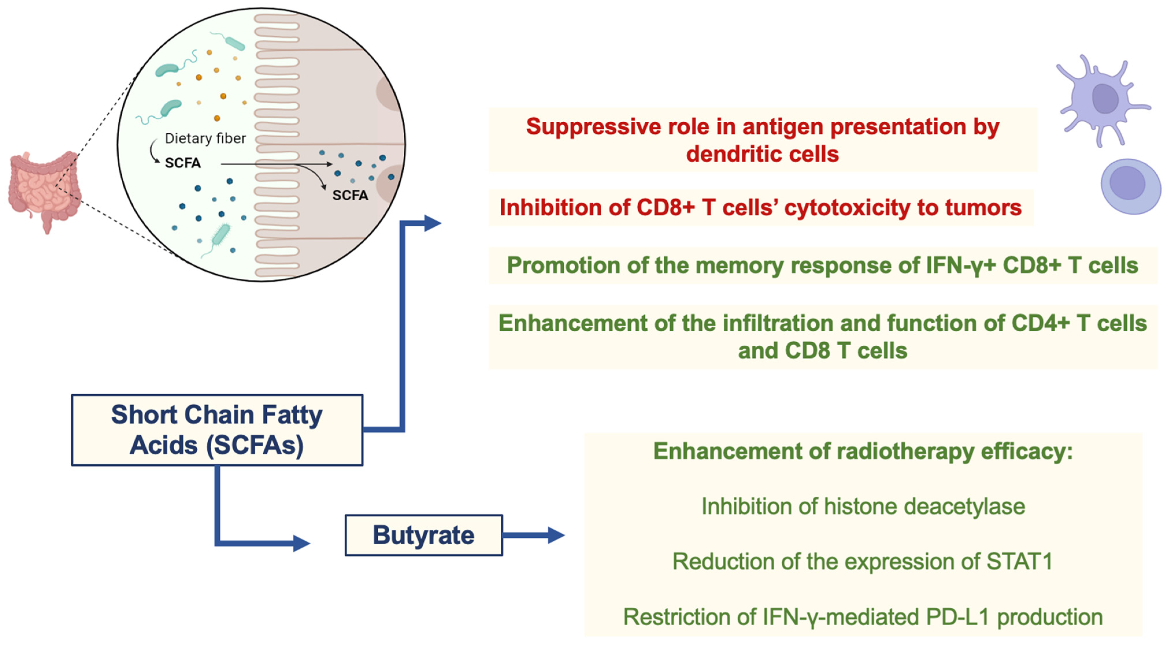Cancers 16 03671 g002