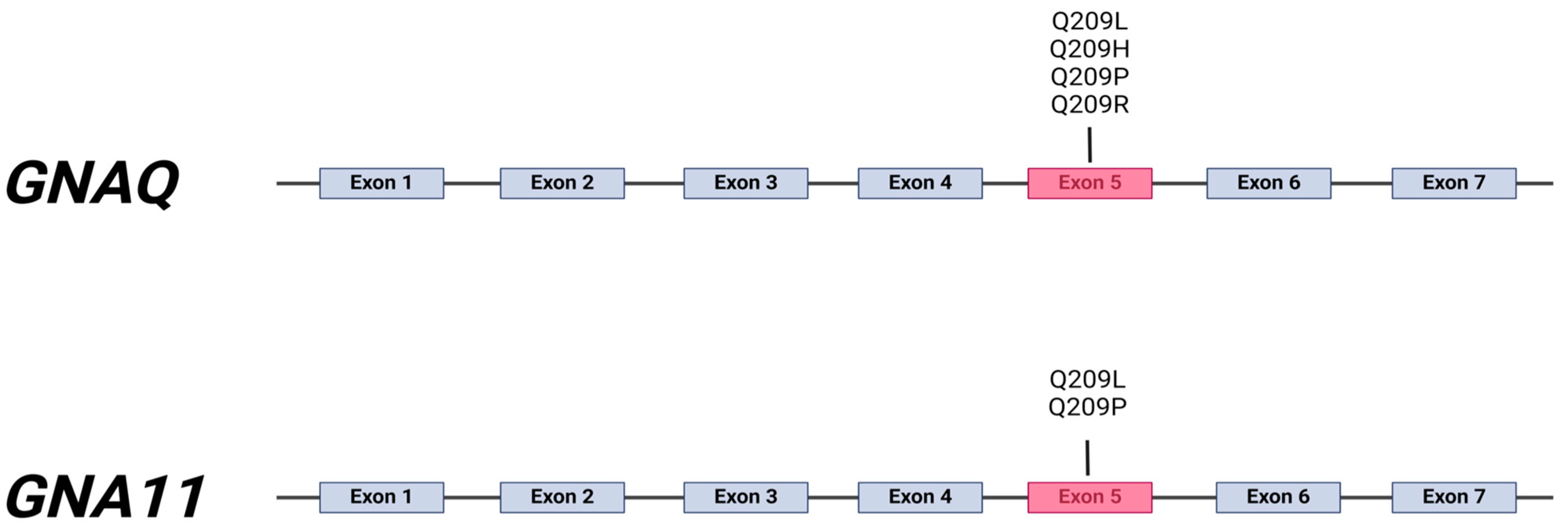 Cancers 16 03672 g002