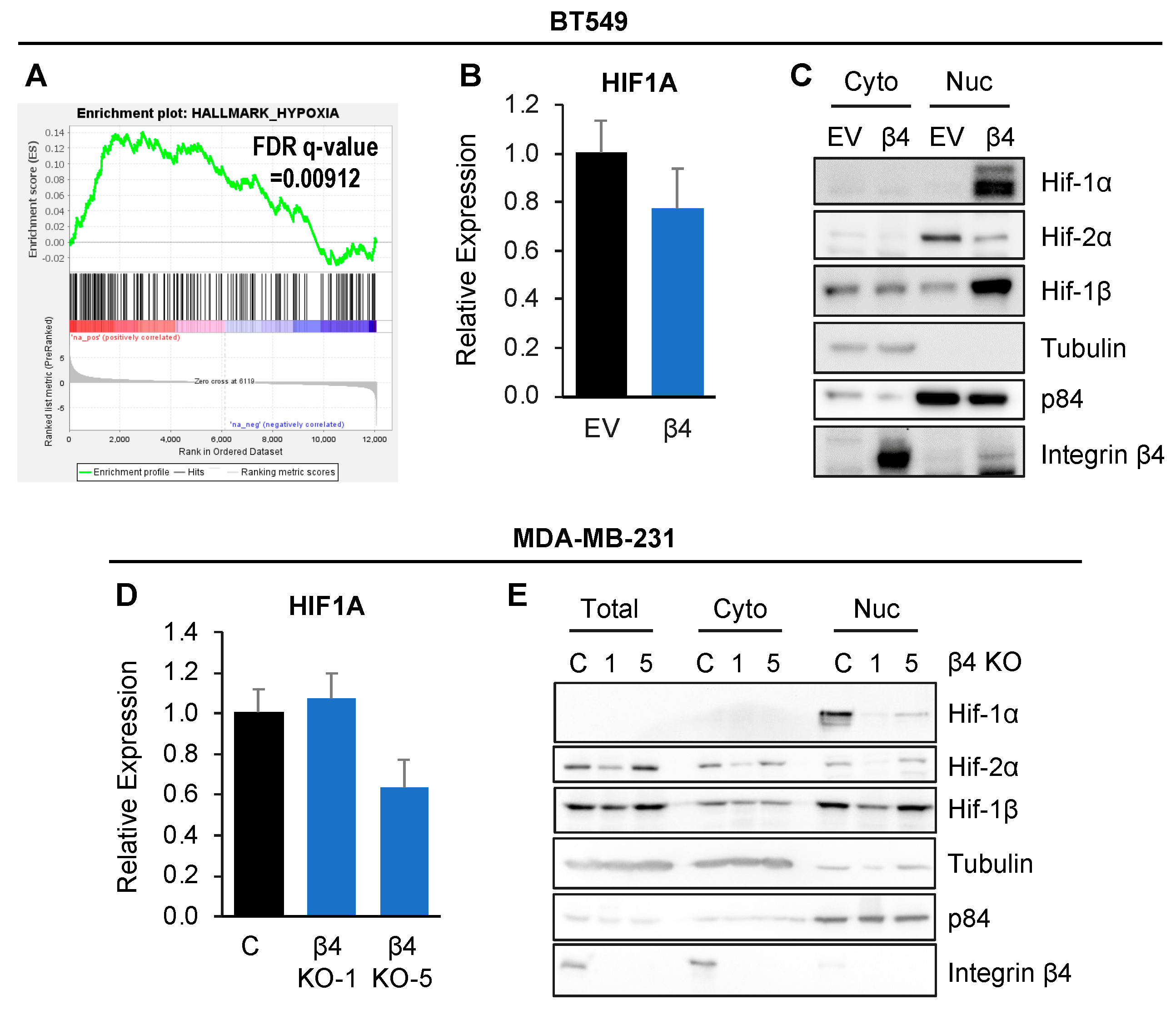 Cancers 16 03683 g003
