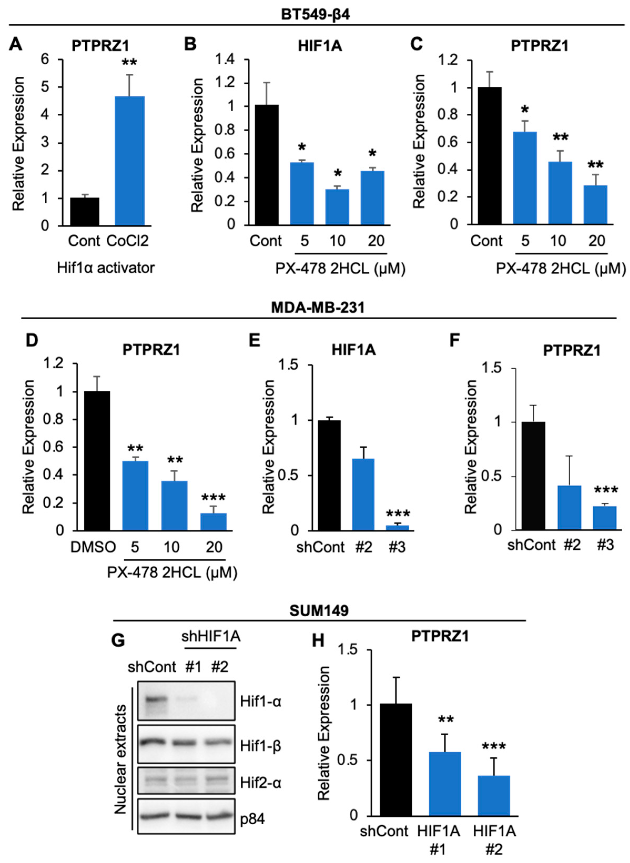 Cancers 16 03683 g004