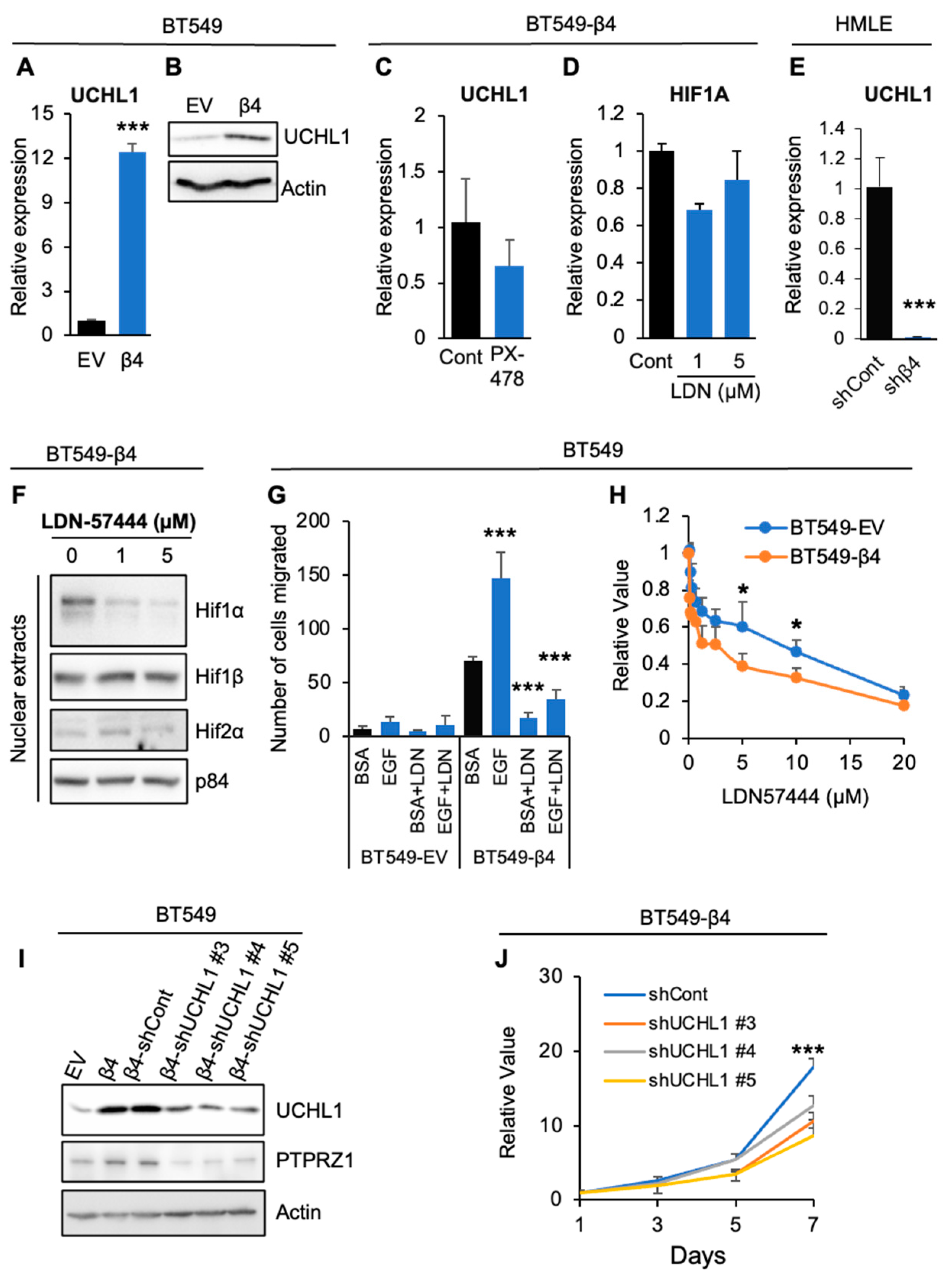 Cancers 16 03683 g005