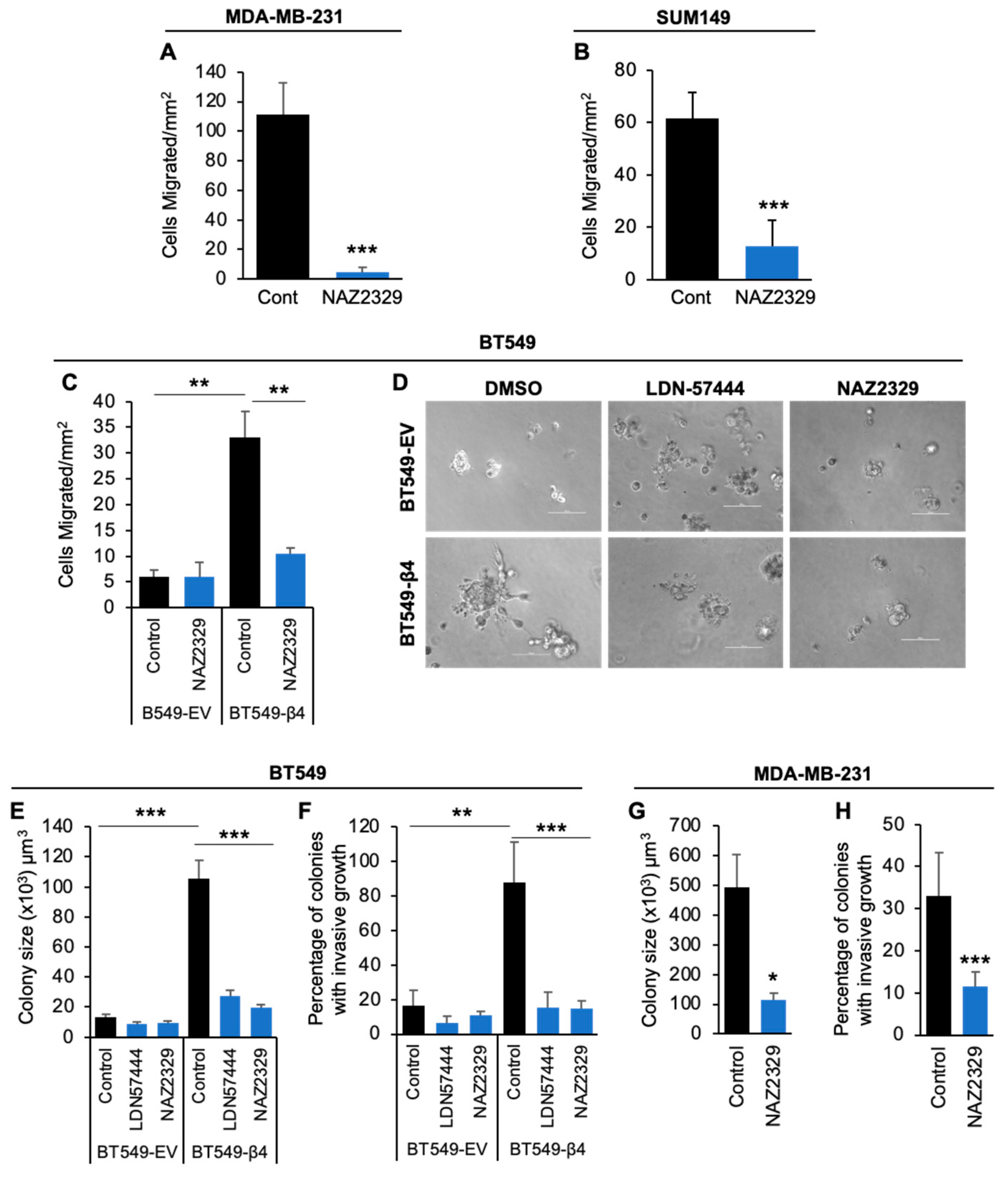 Cancers 16 03683 g006
