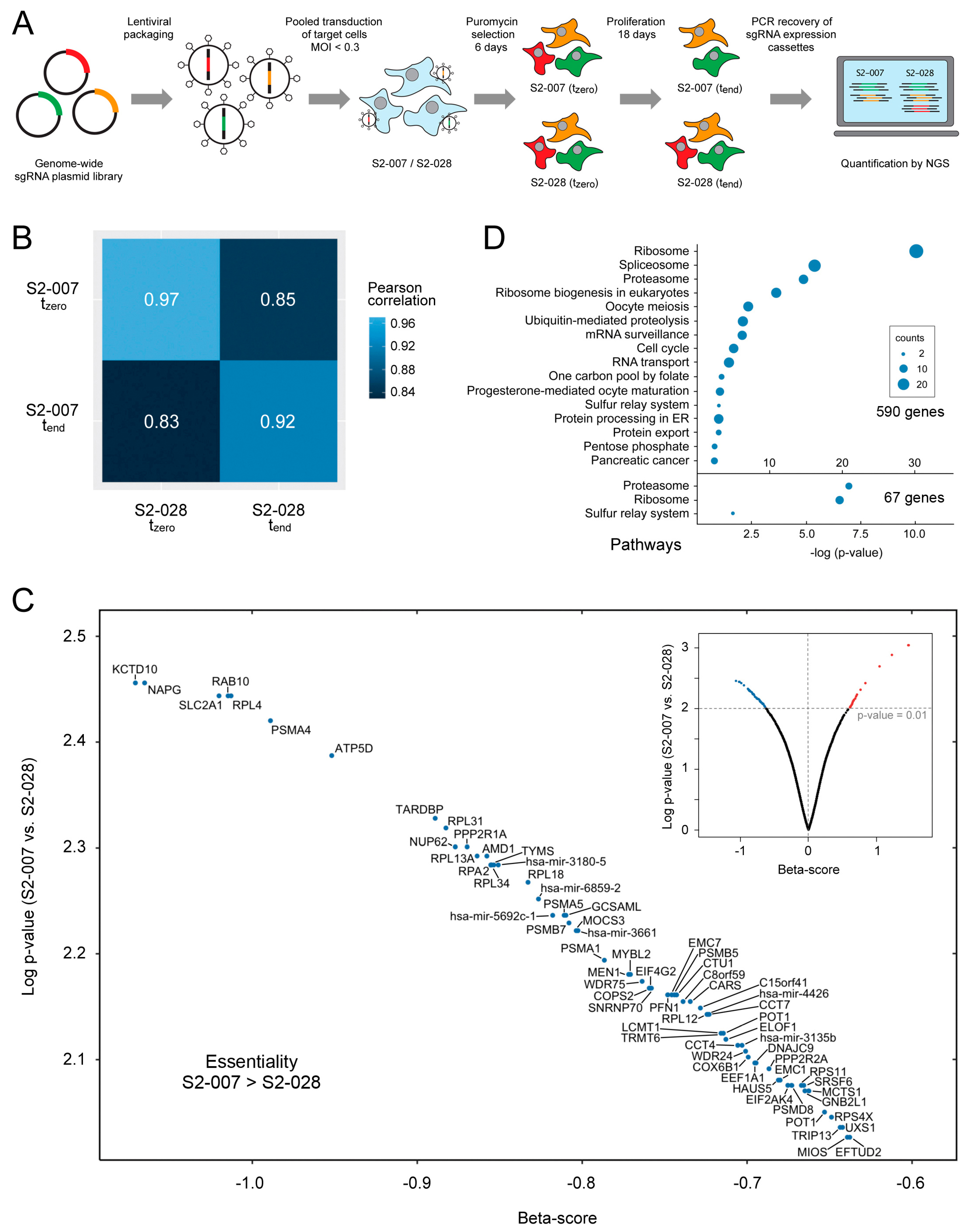 Cancers 16 03684 g001