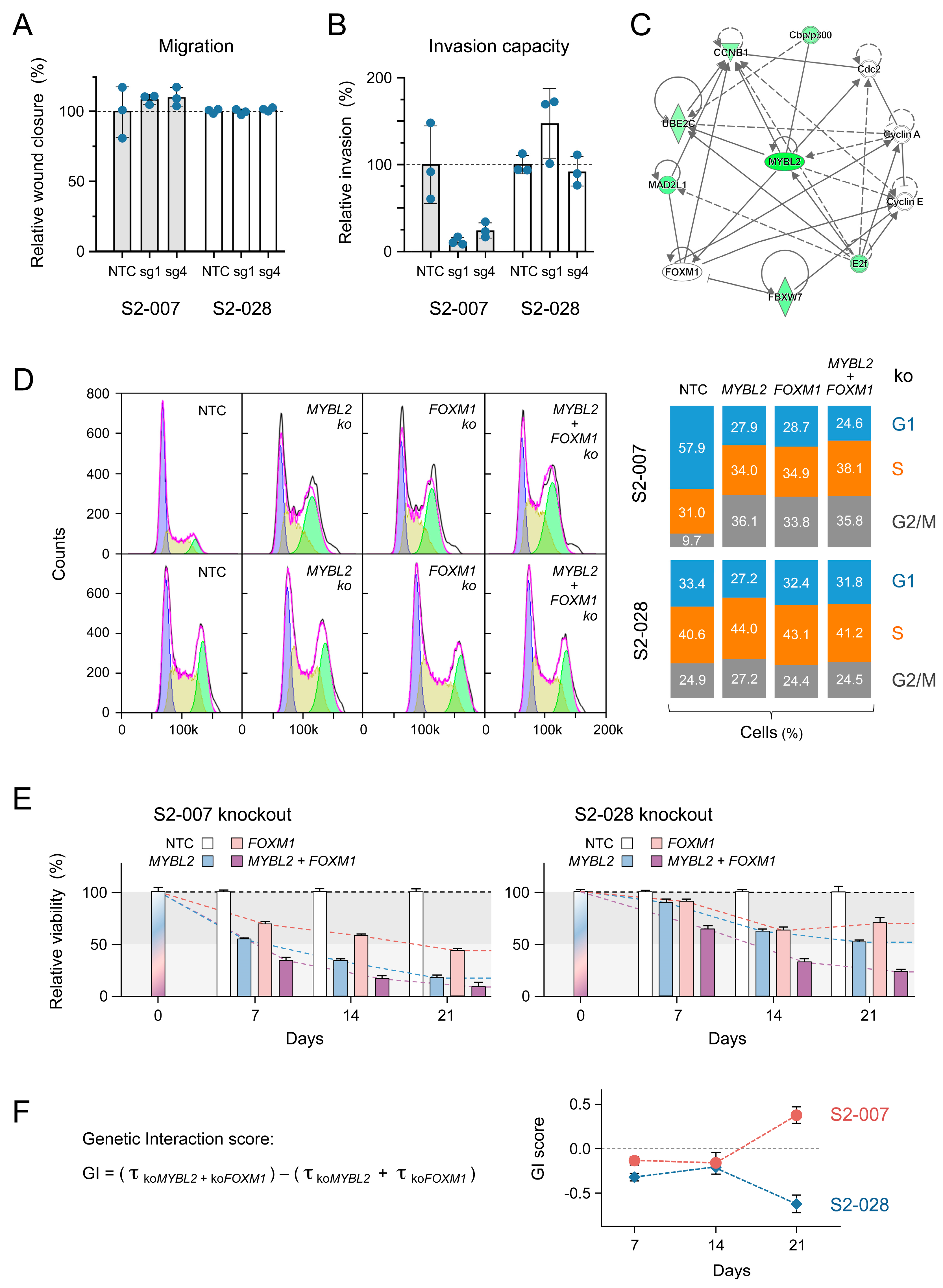 Cancers 16 03684 g005