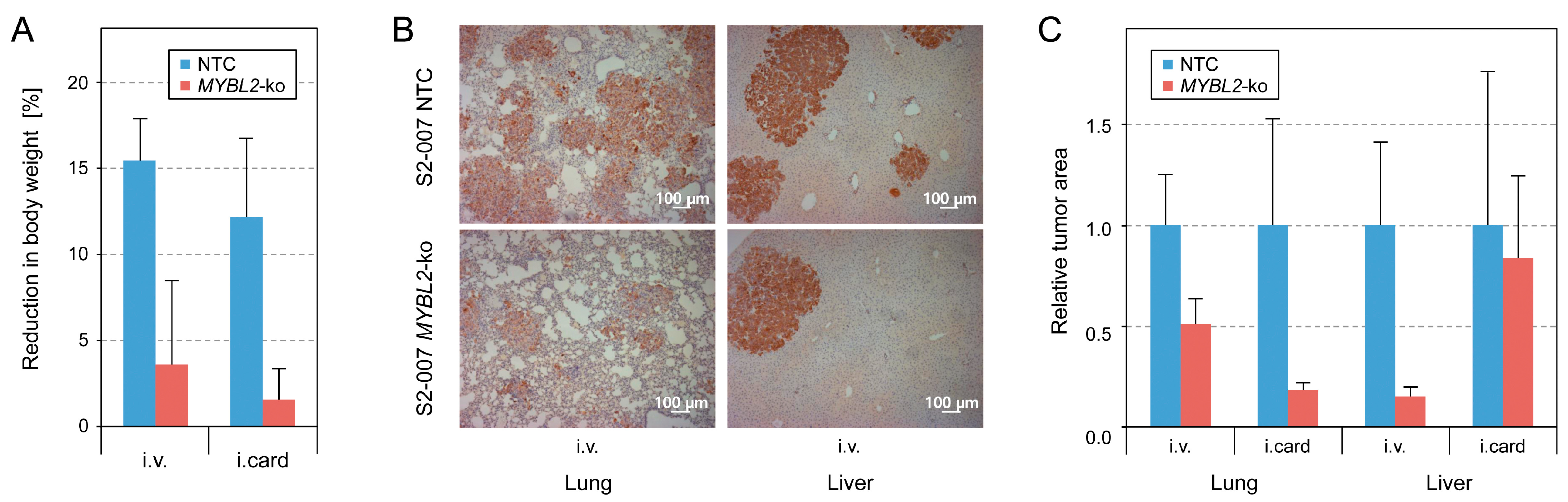 Cancers 16 03684 g006