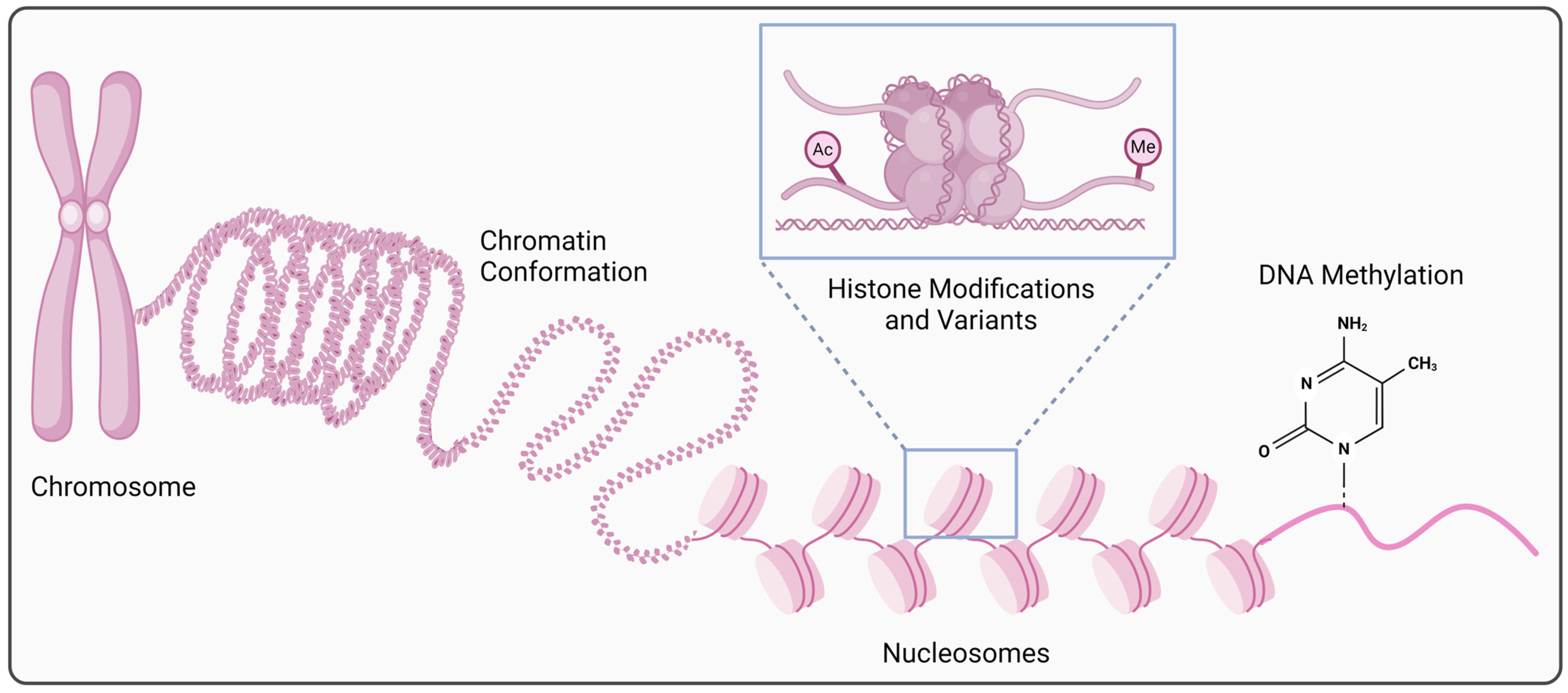 Cancers 16 03687 g001