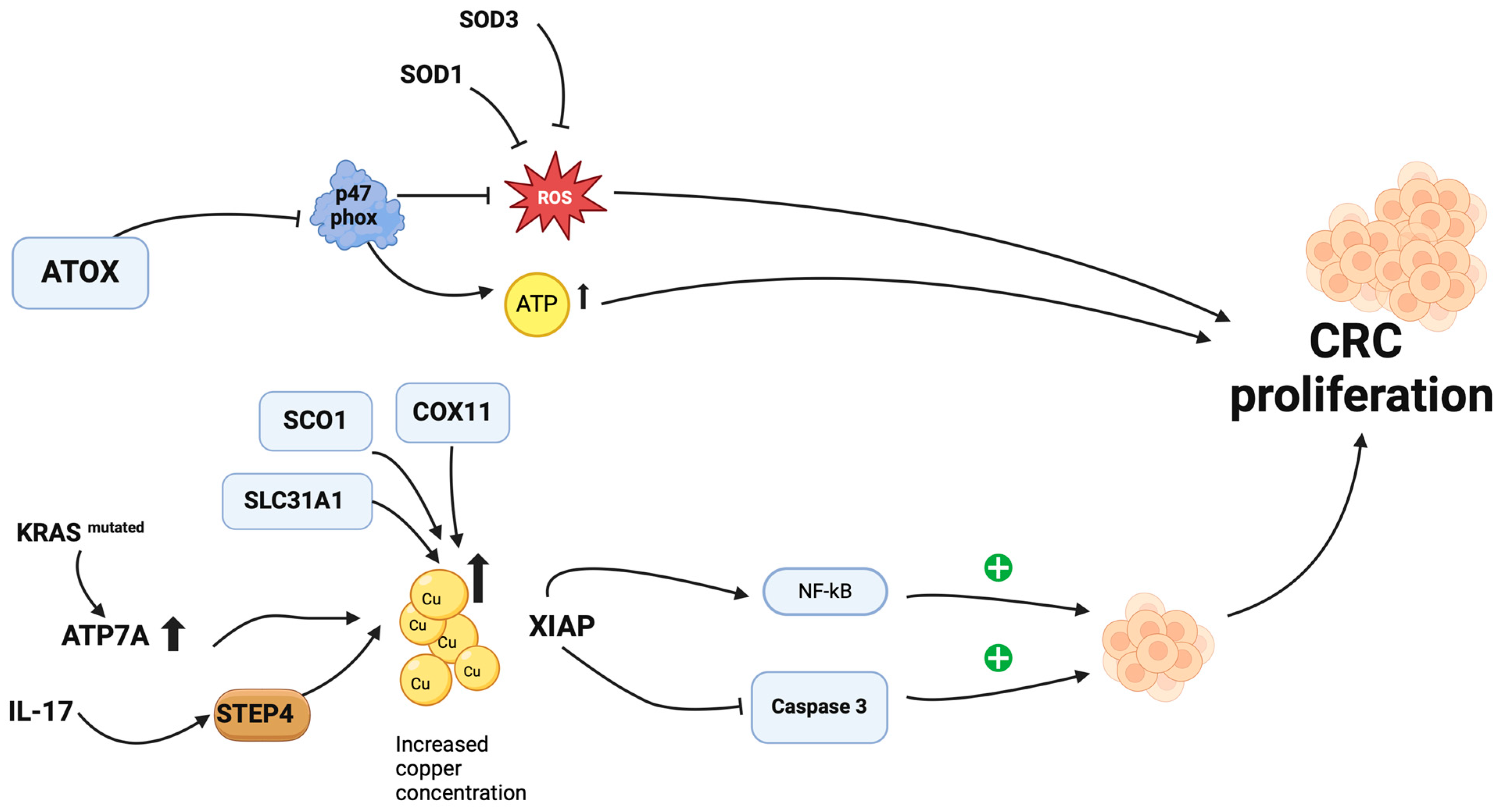 Cancers 16 03691 g001