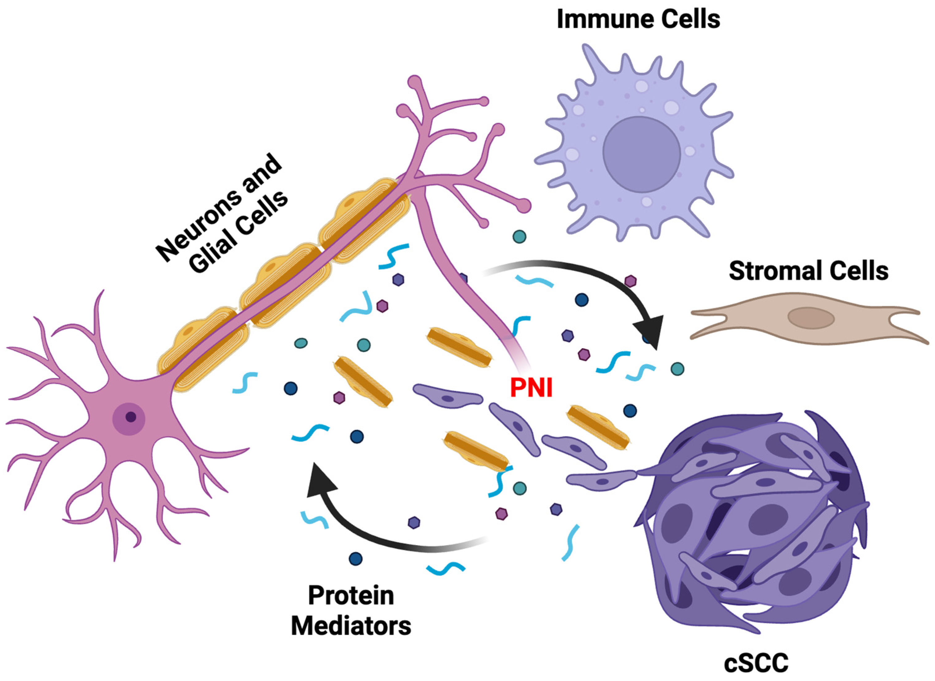 Cancers 16 03695 g001