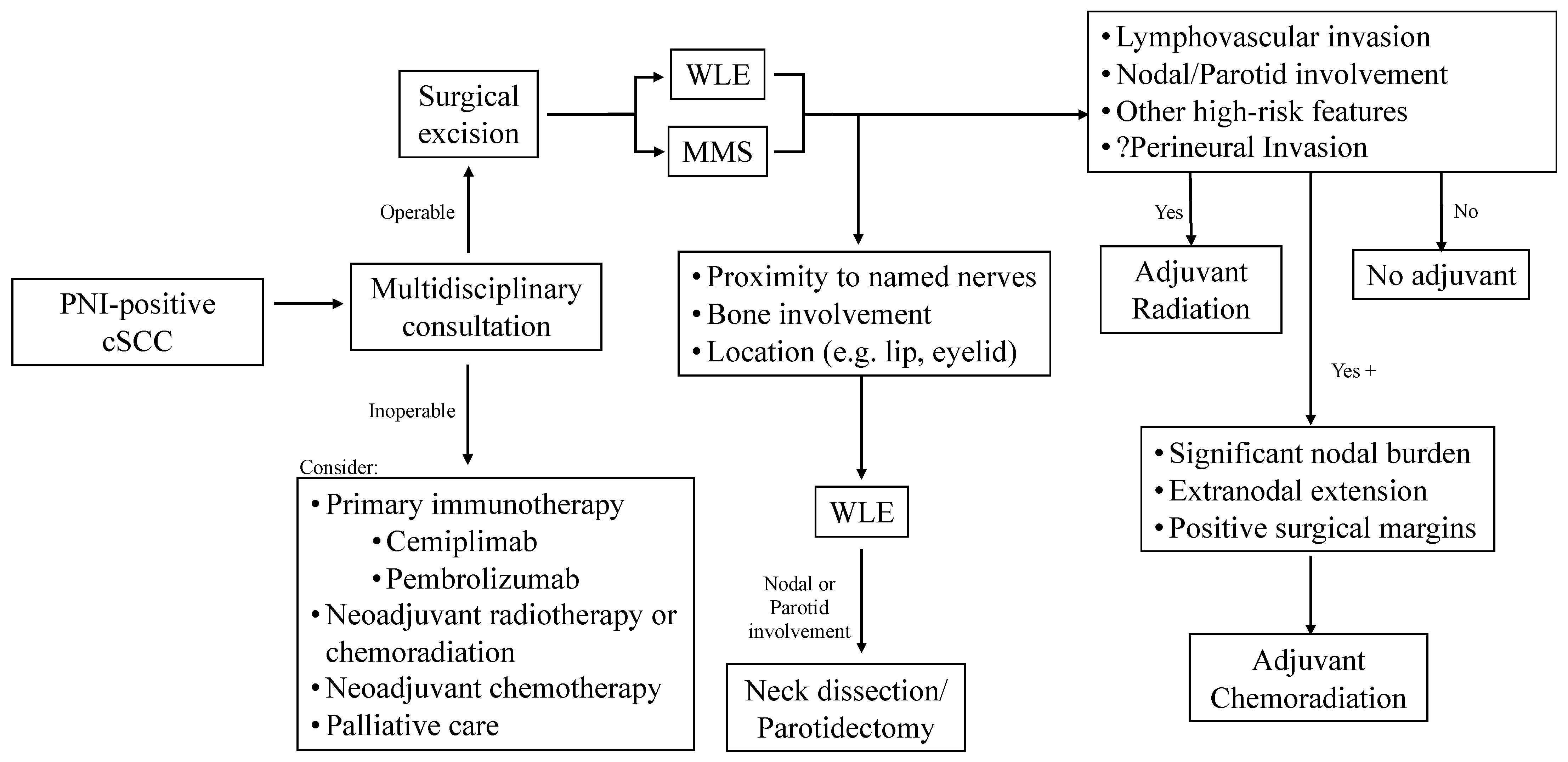 Cancers 16 03695 g002
