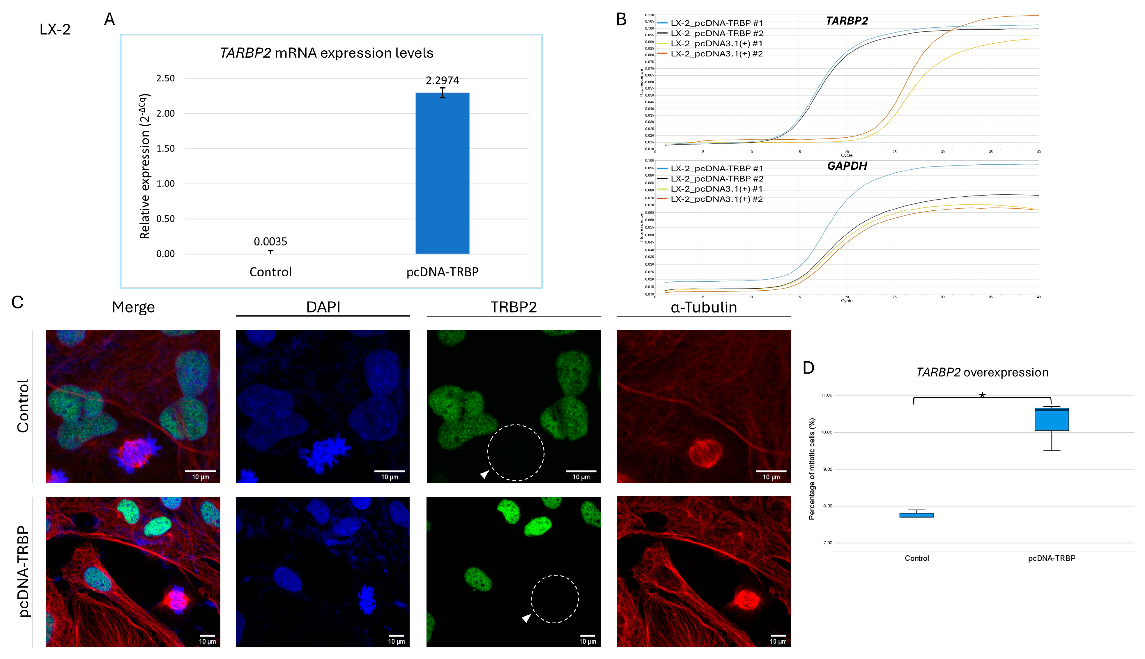 Cancers 16 03701 g009