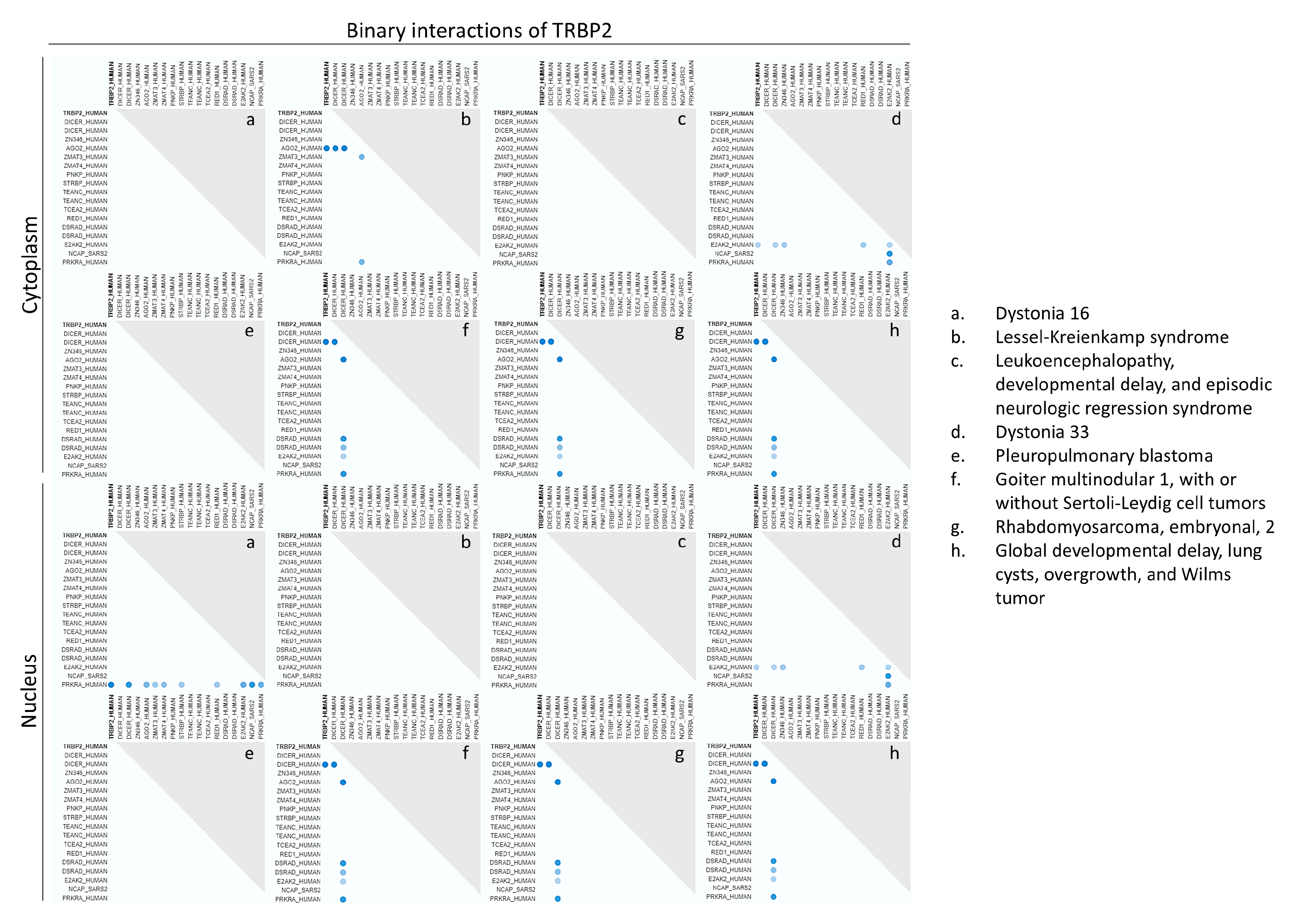 Cancers 16 03701 g013