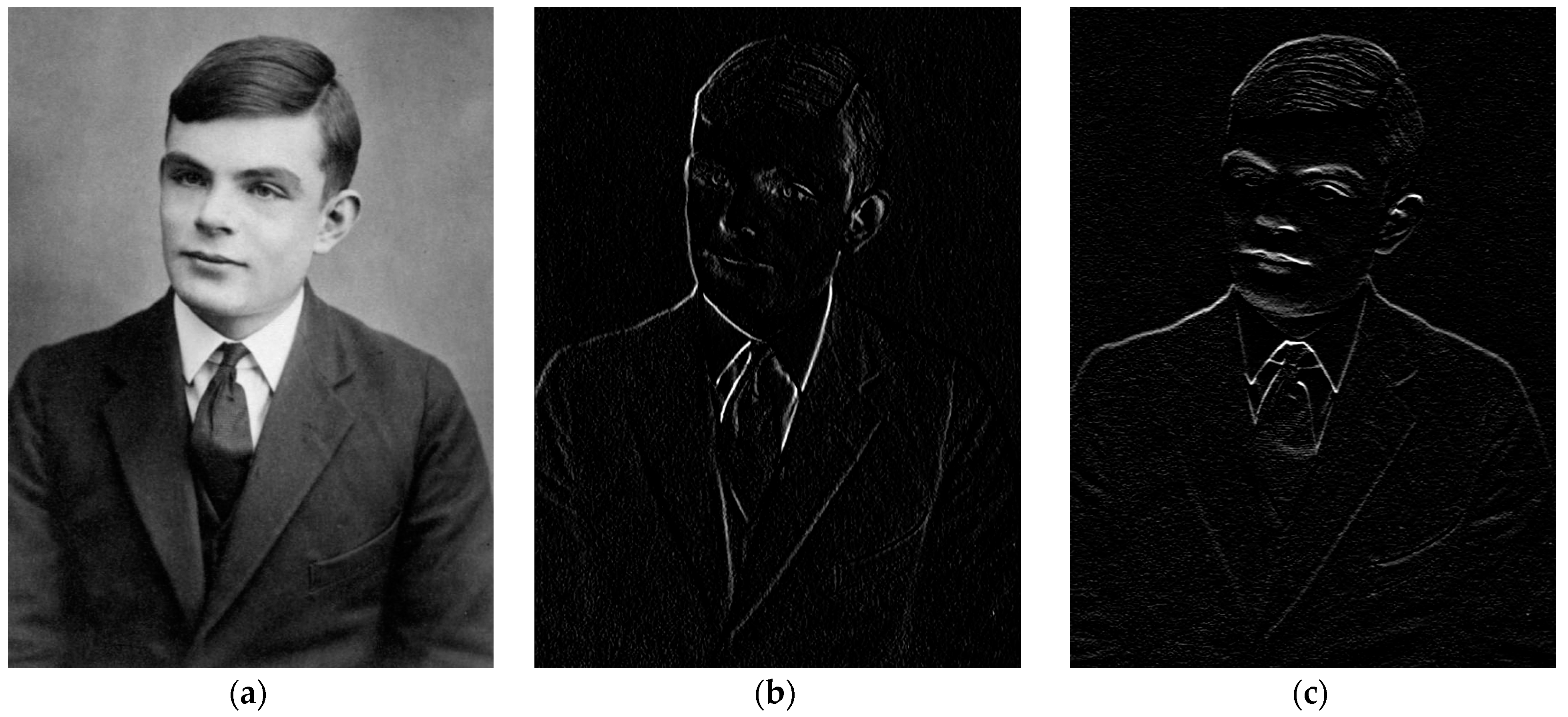 Cancers 16 03702 g001 Cancers 16 03702 g001