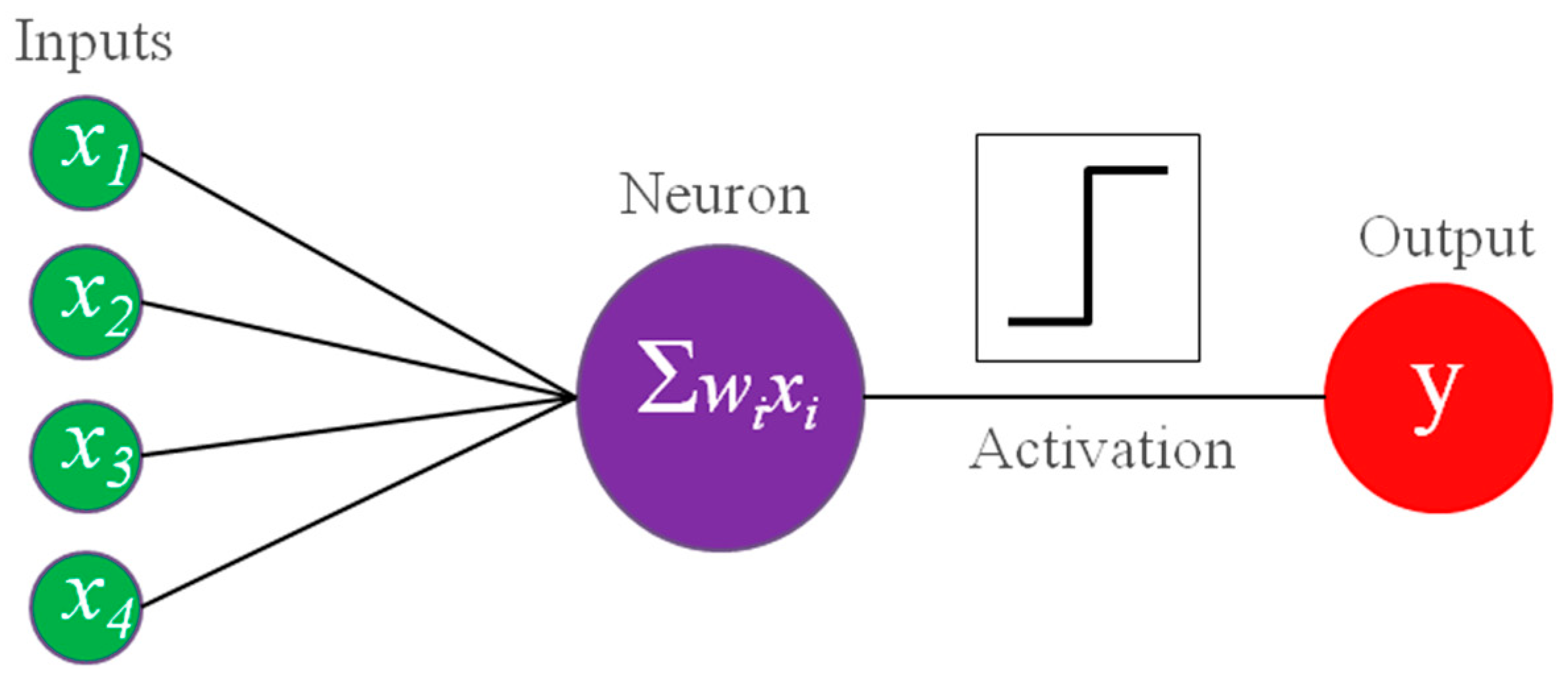 Cancers 16 03702 g003 Cancers 16 03702 g003