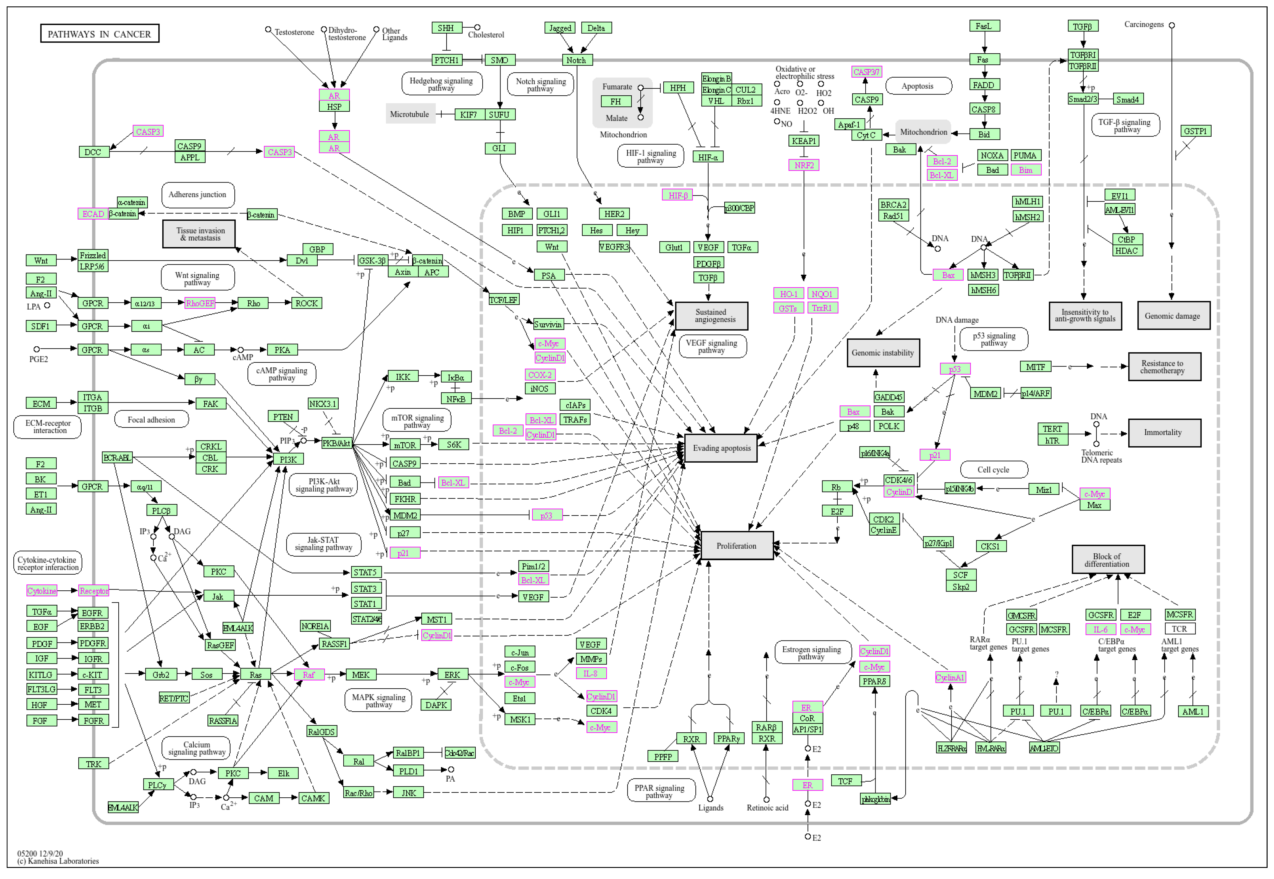 Cancers 16 03703 g003