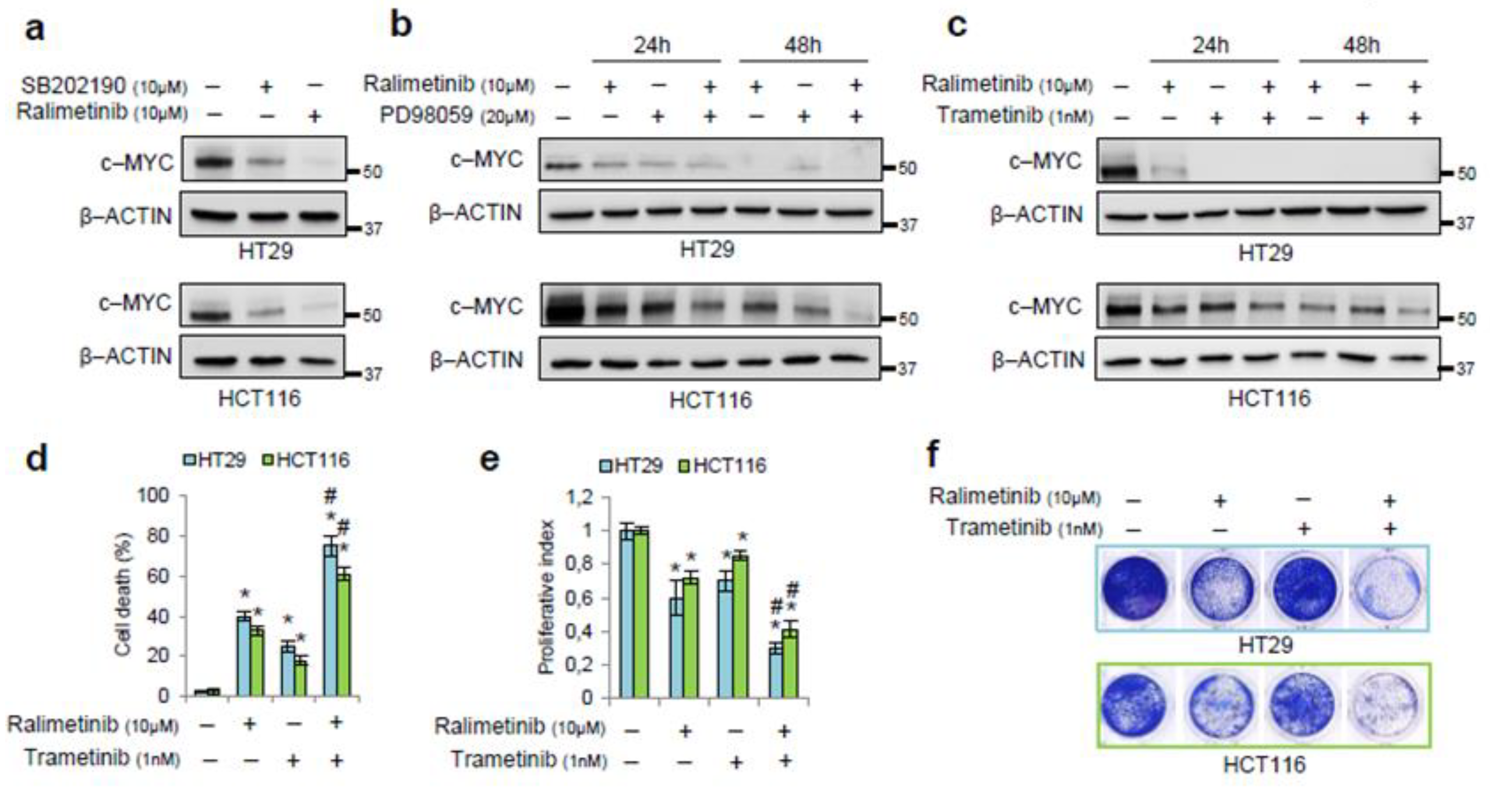 Cancers 16 03704 g004a