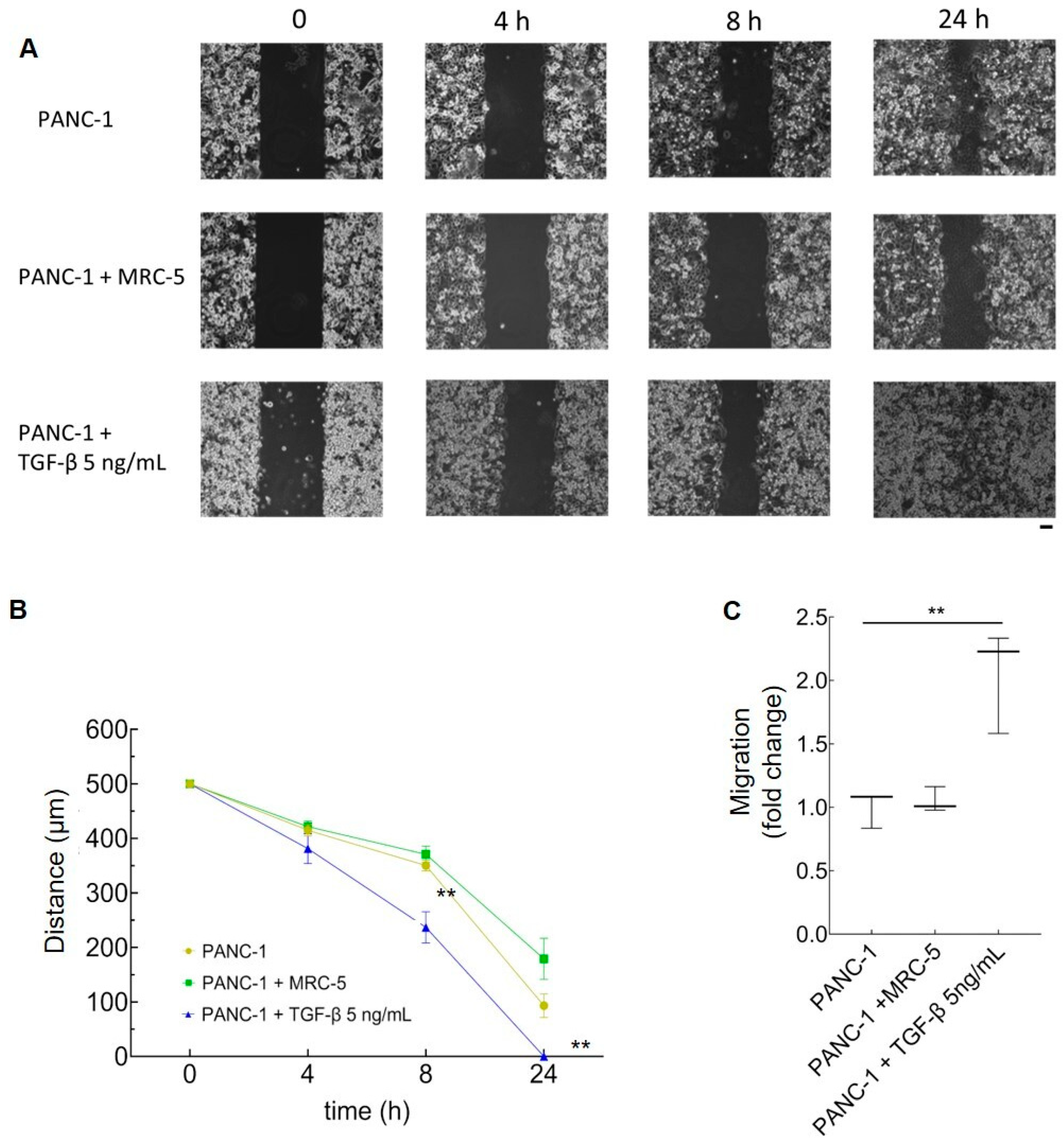 Cancers 16 03705 g003
