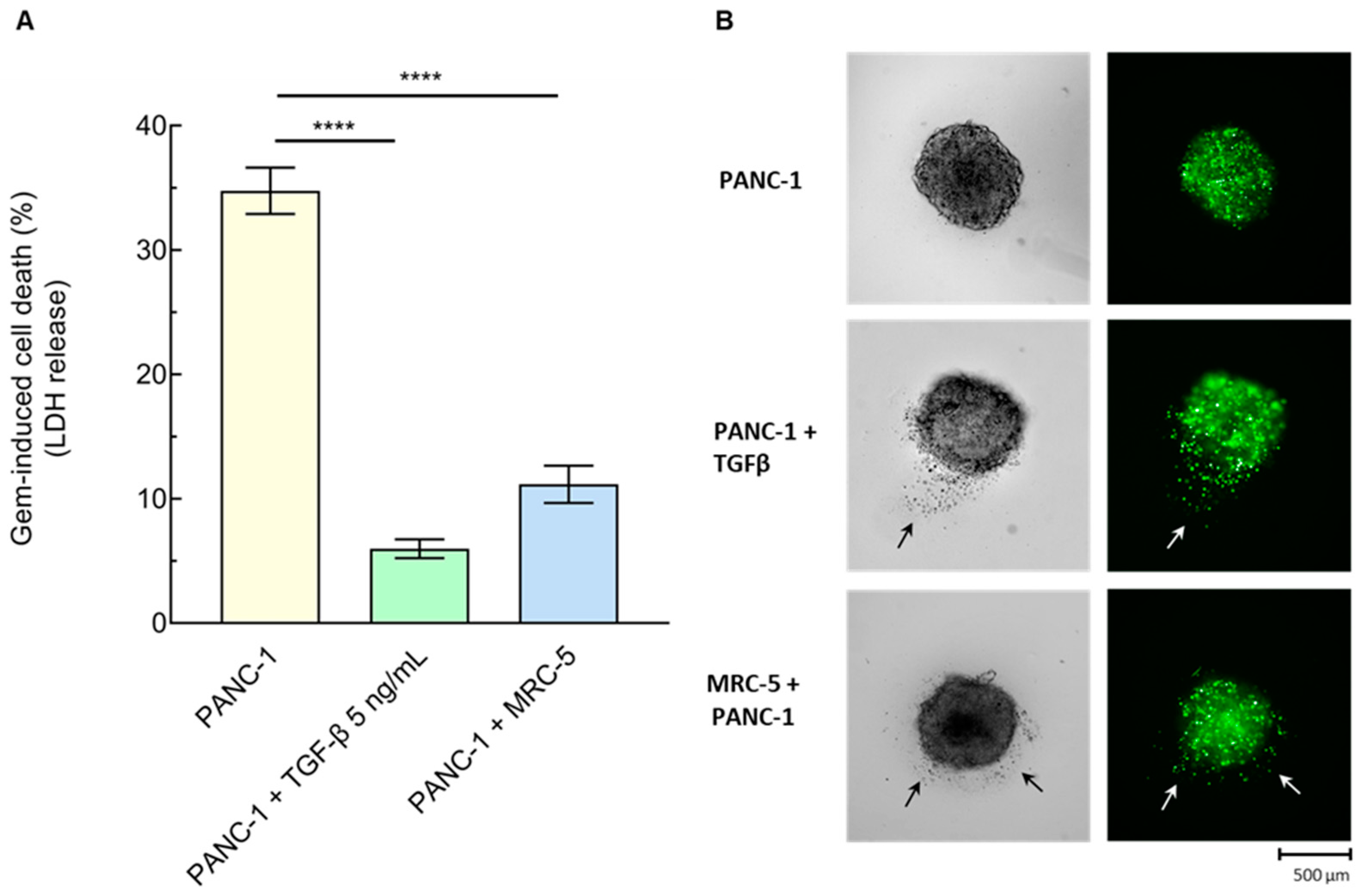 Cancers 16 03705 g005