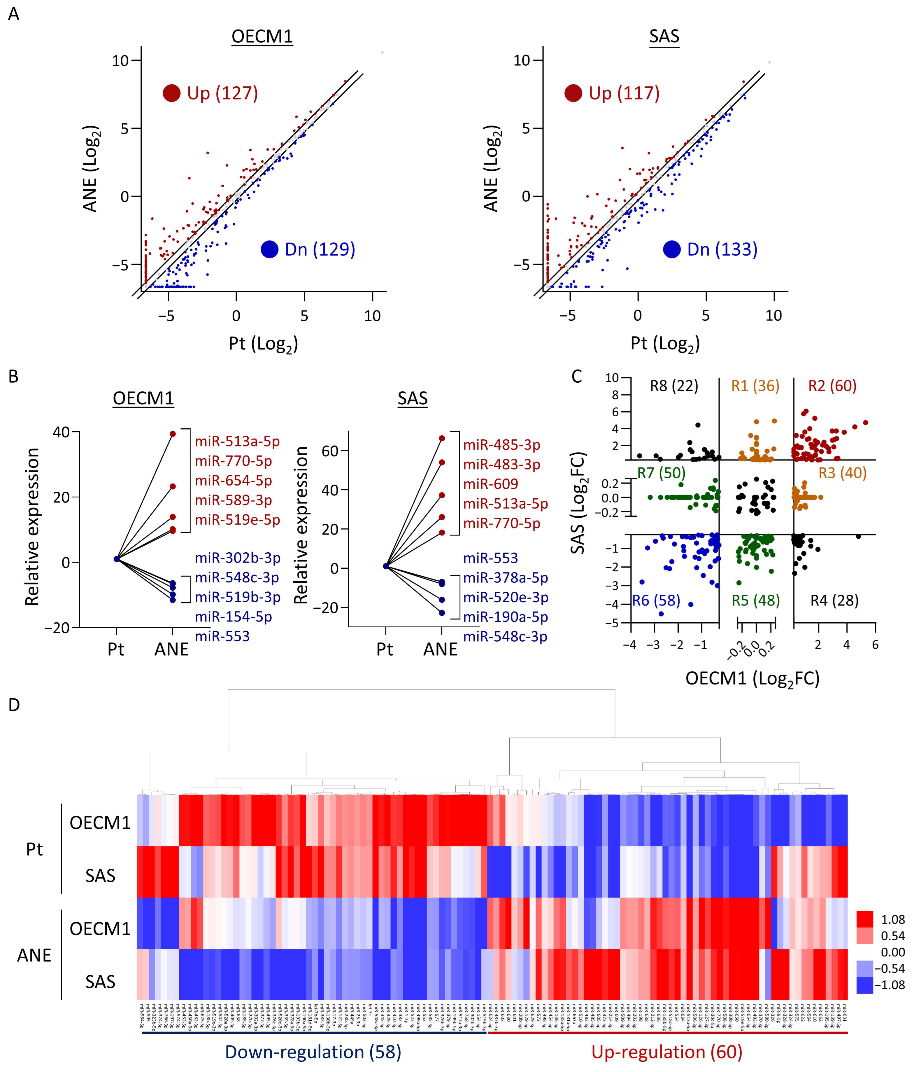 Cancers 16 03710 g001