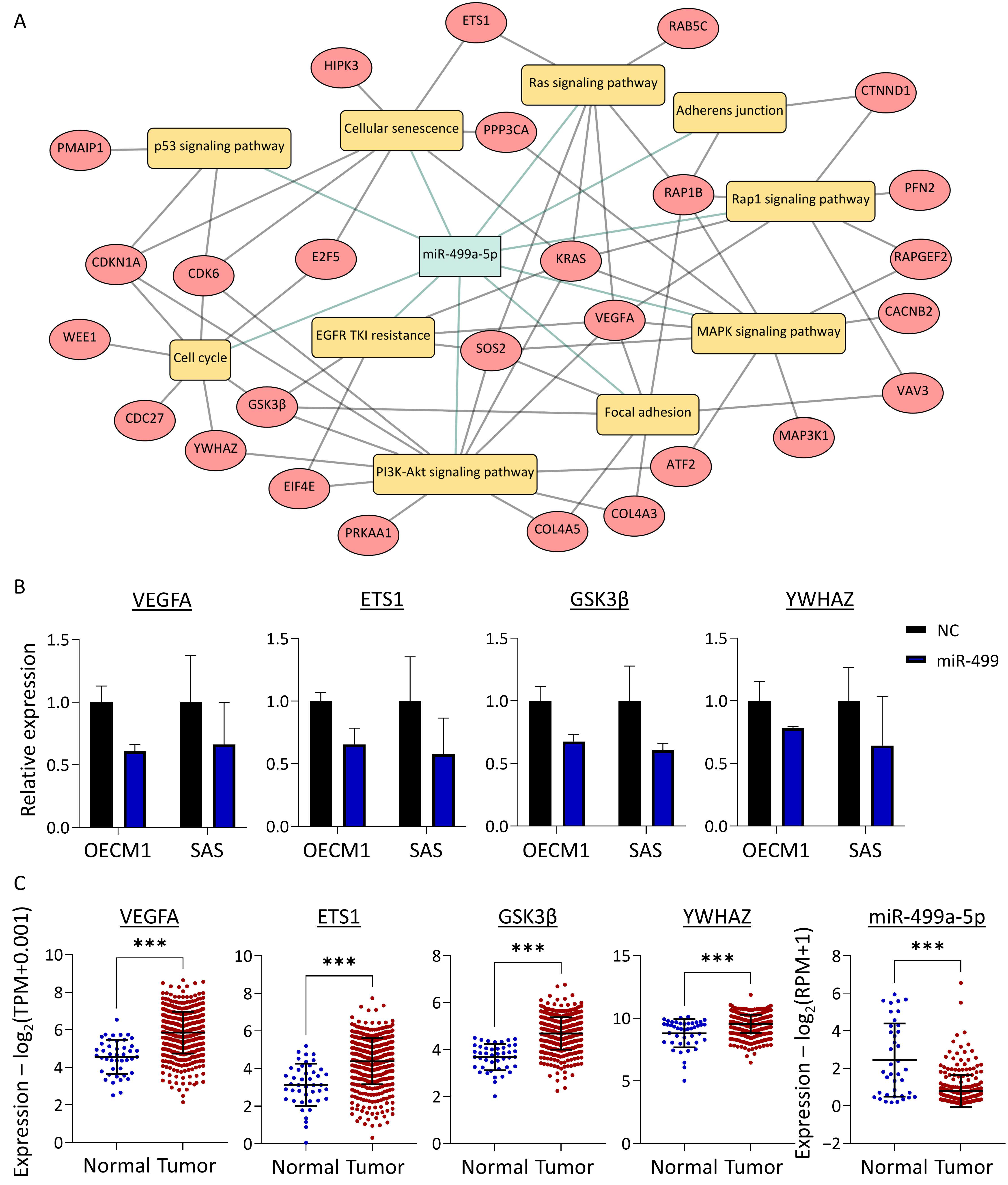 Cancers 16 03710 g005