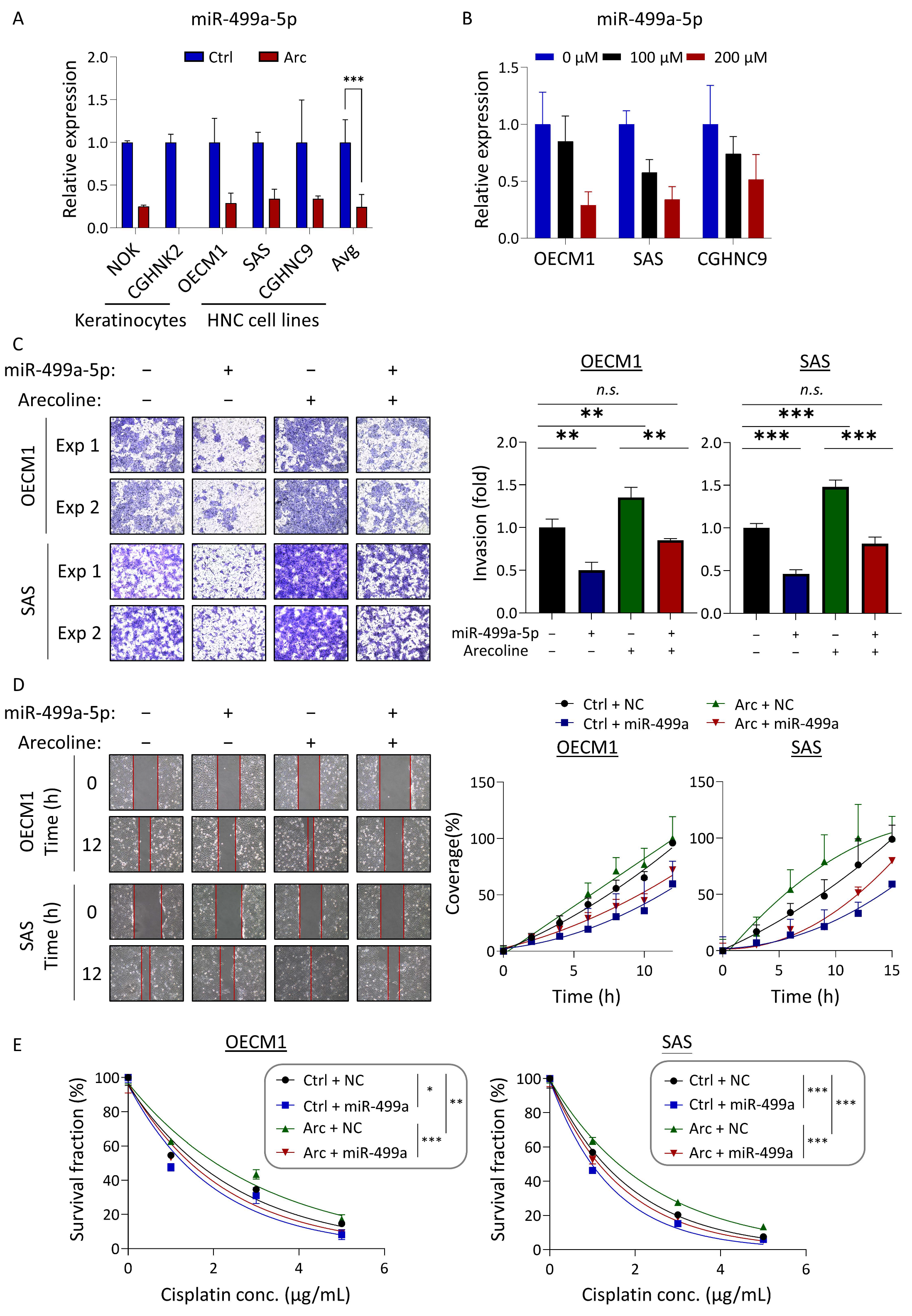Cancers 16 03710 g006