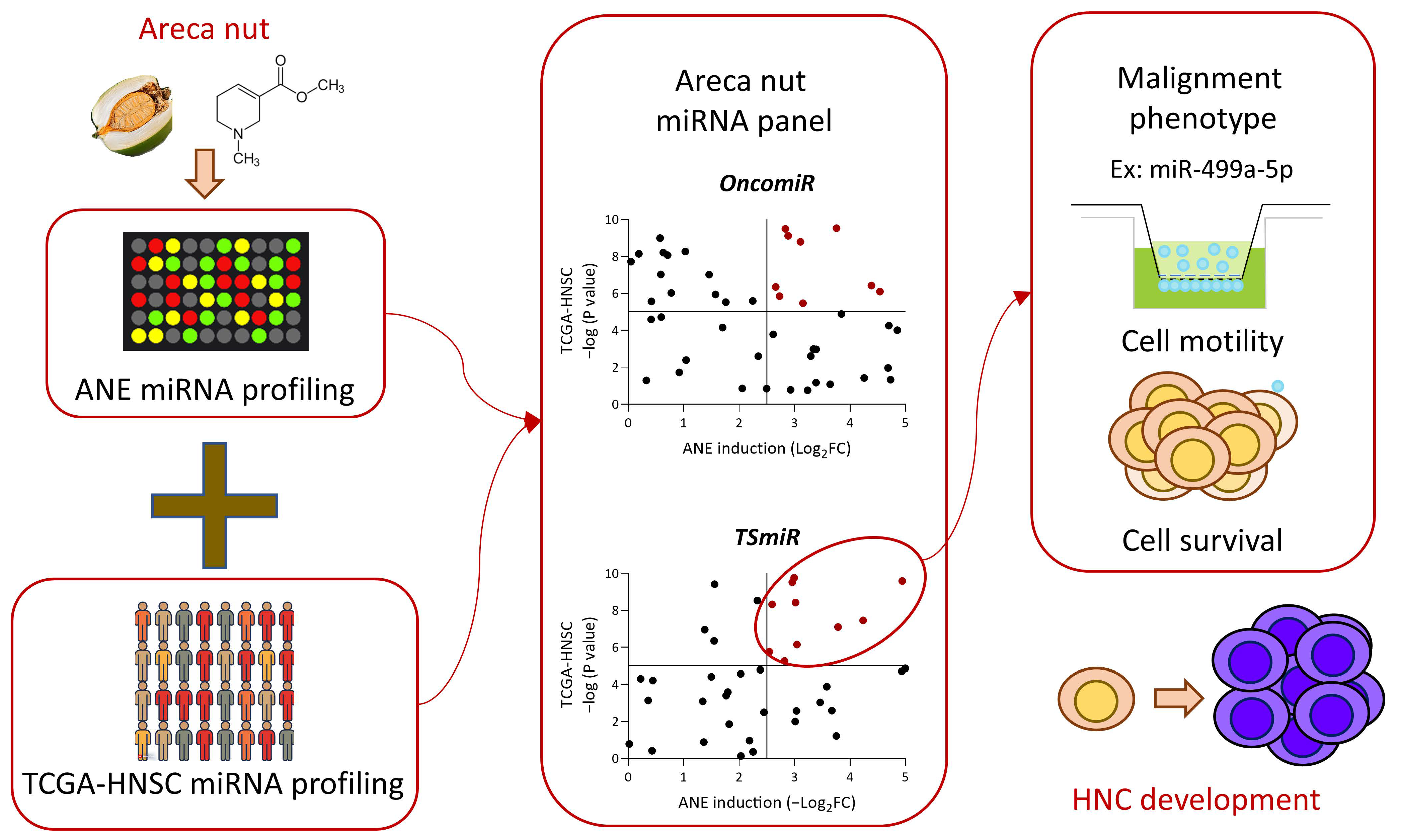Cancers 16 03710 g007