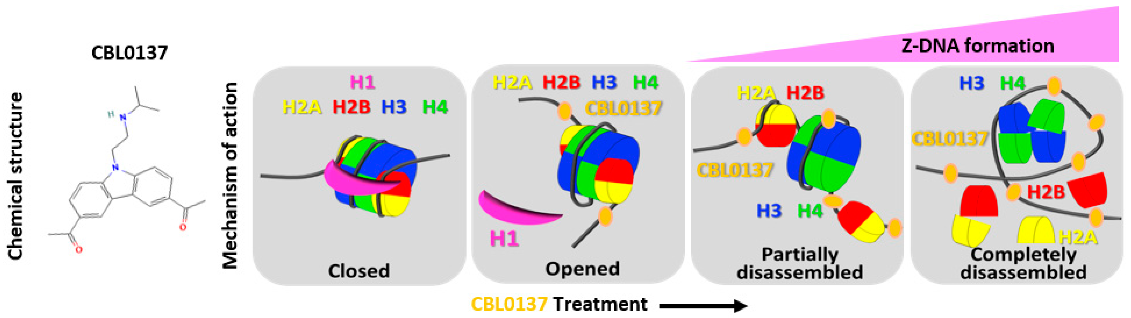 Cancers 16 03711 g001