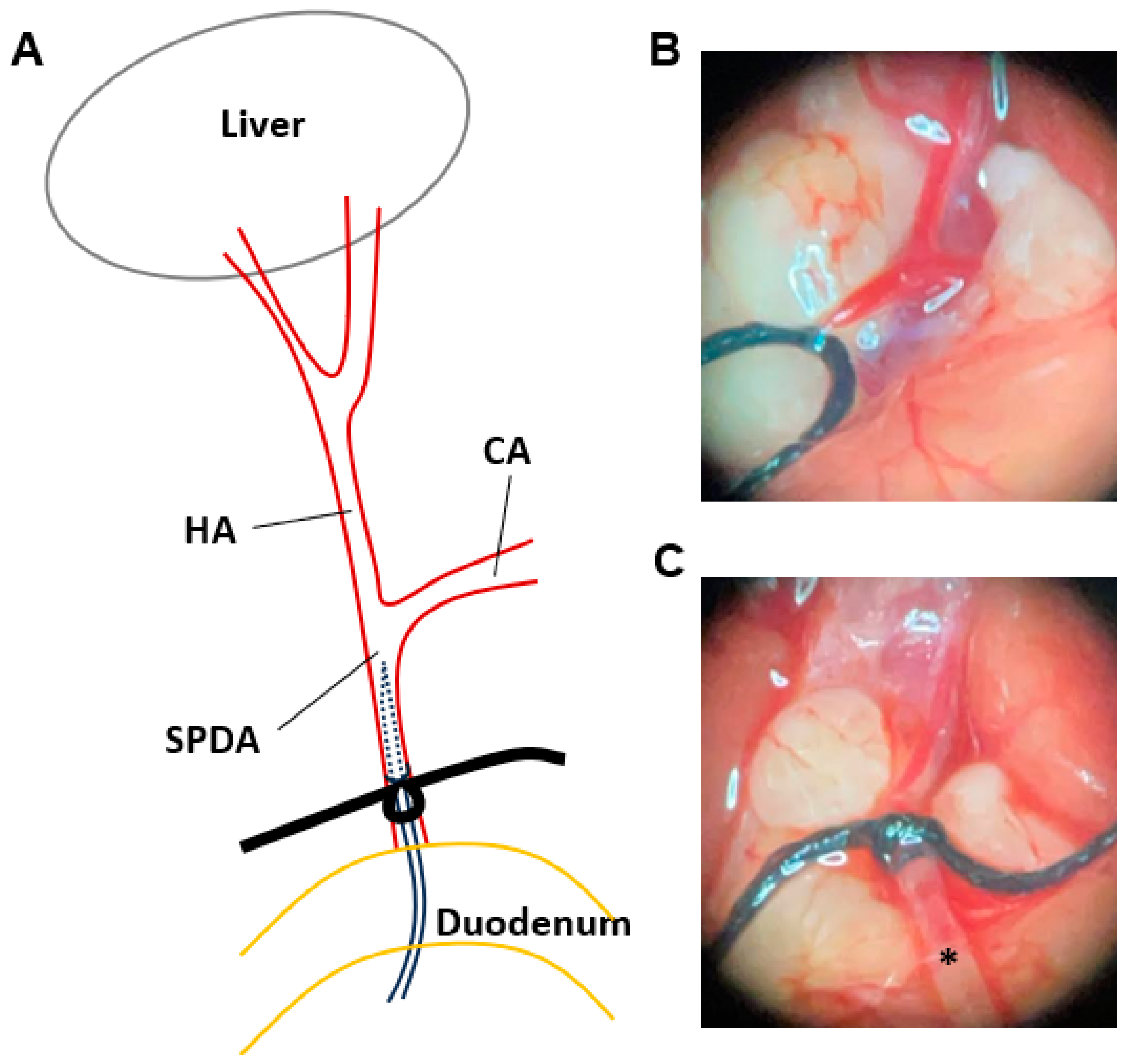 Cancers 16 03711 g002