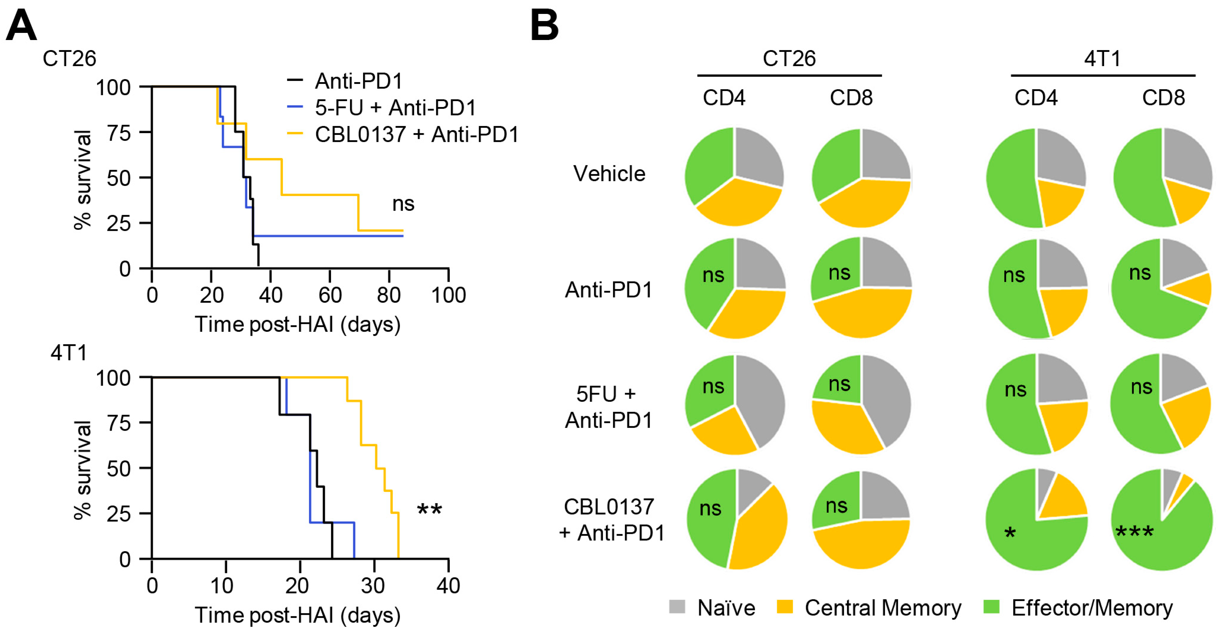 Cancers 16 03711 g007