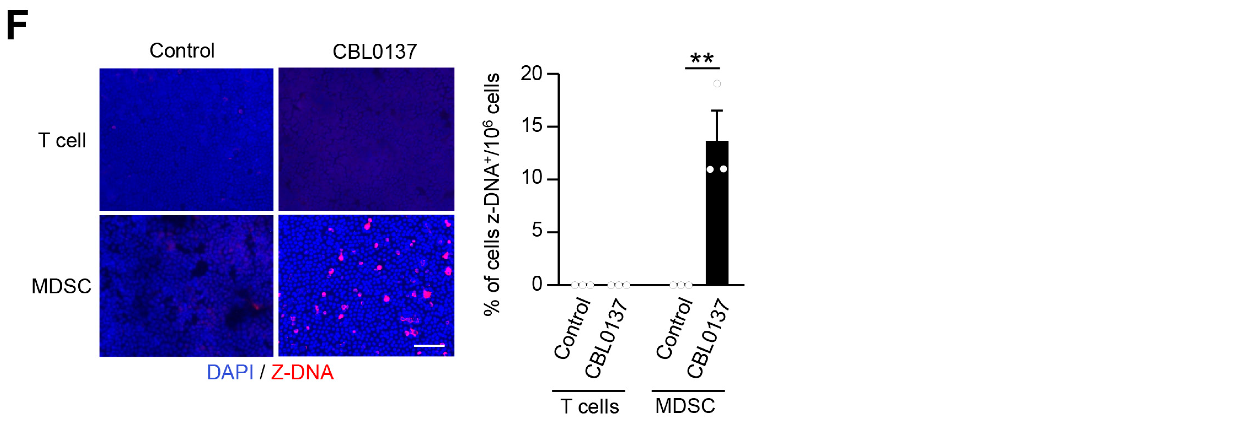 Cancers 16 03711 g008b
