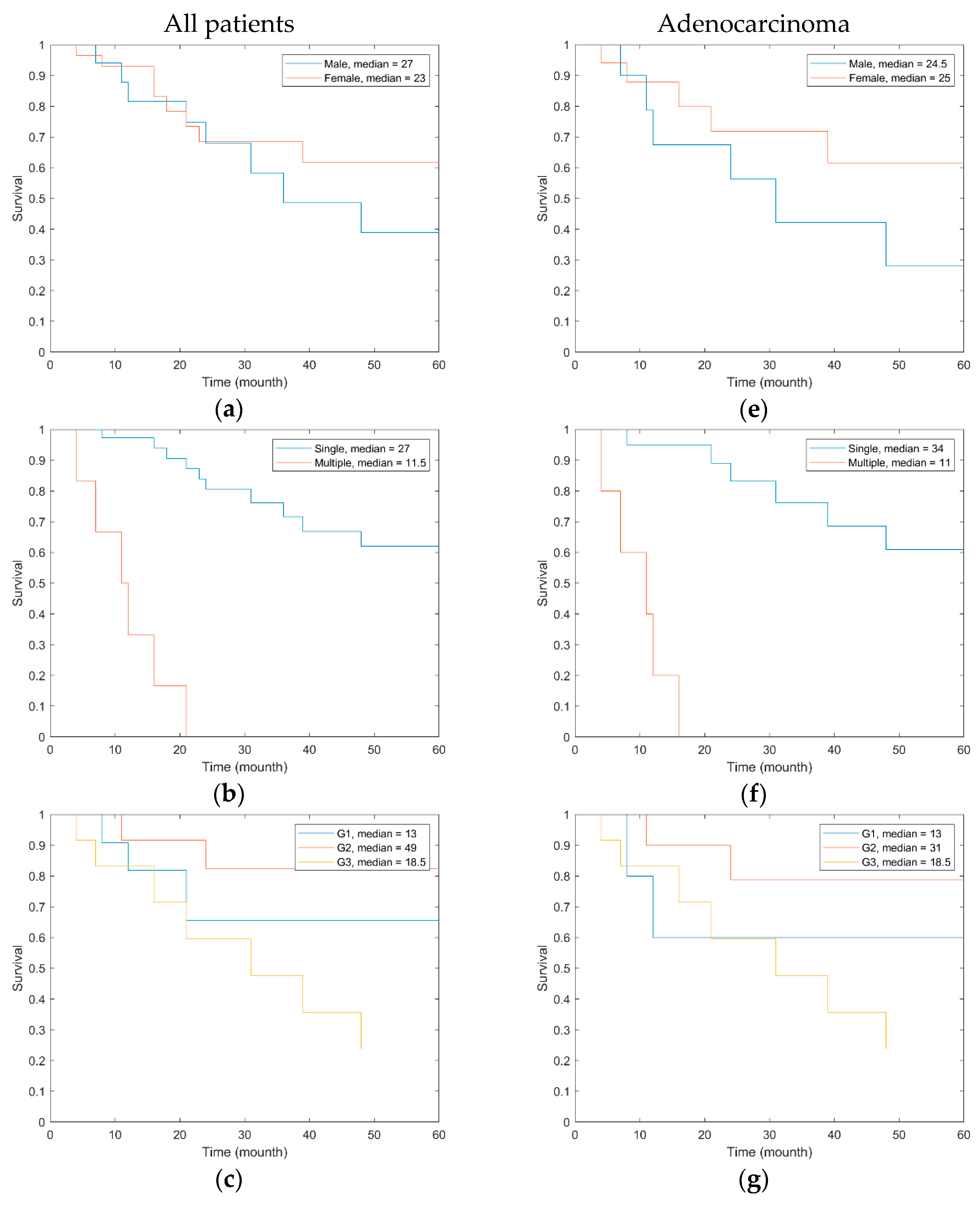 Cancers 16 03713 g015a