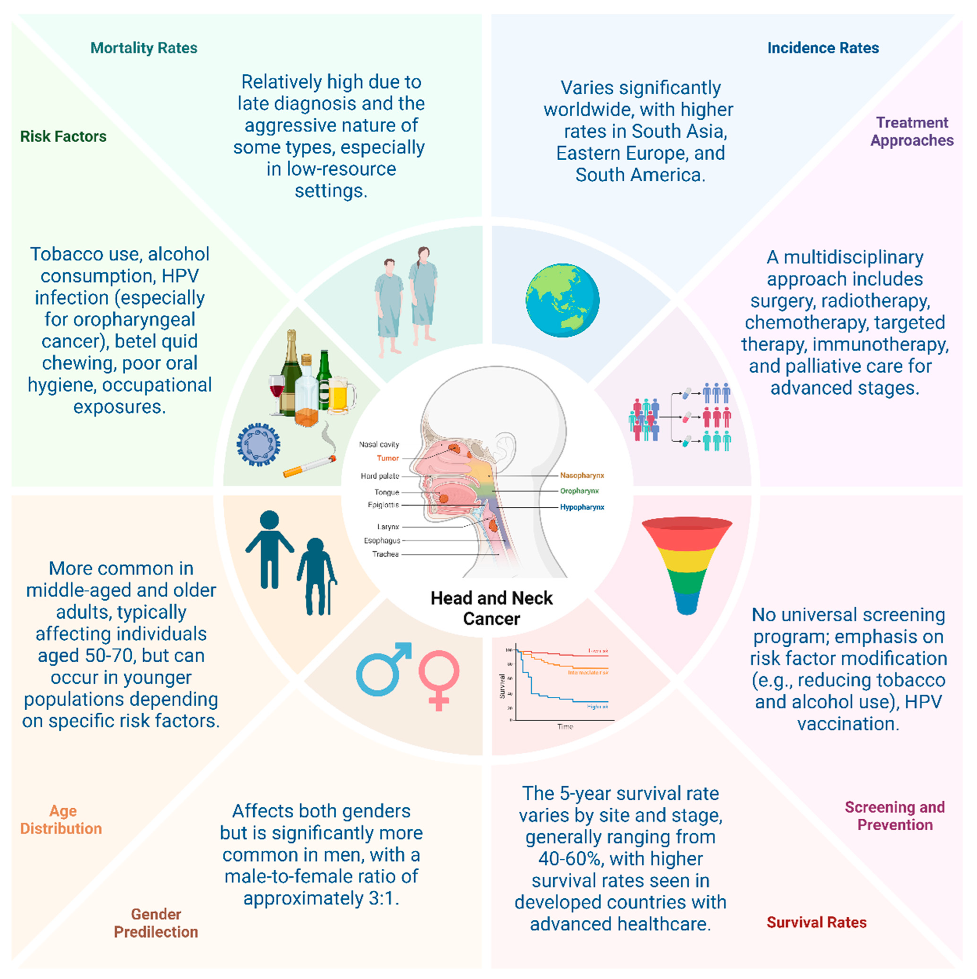 Cancers 16 03716 g001