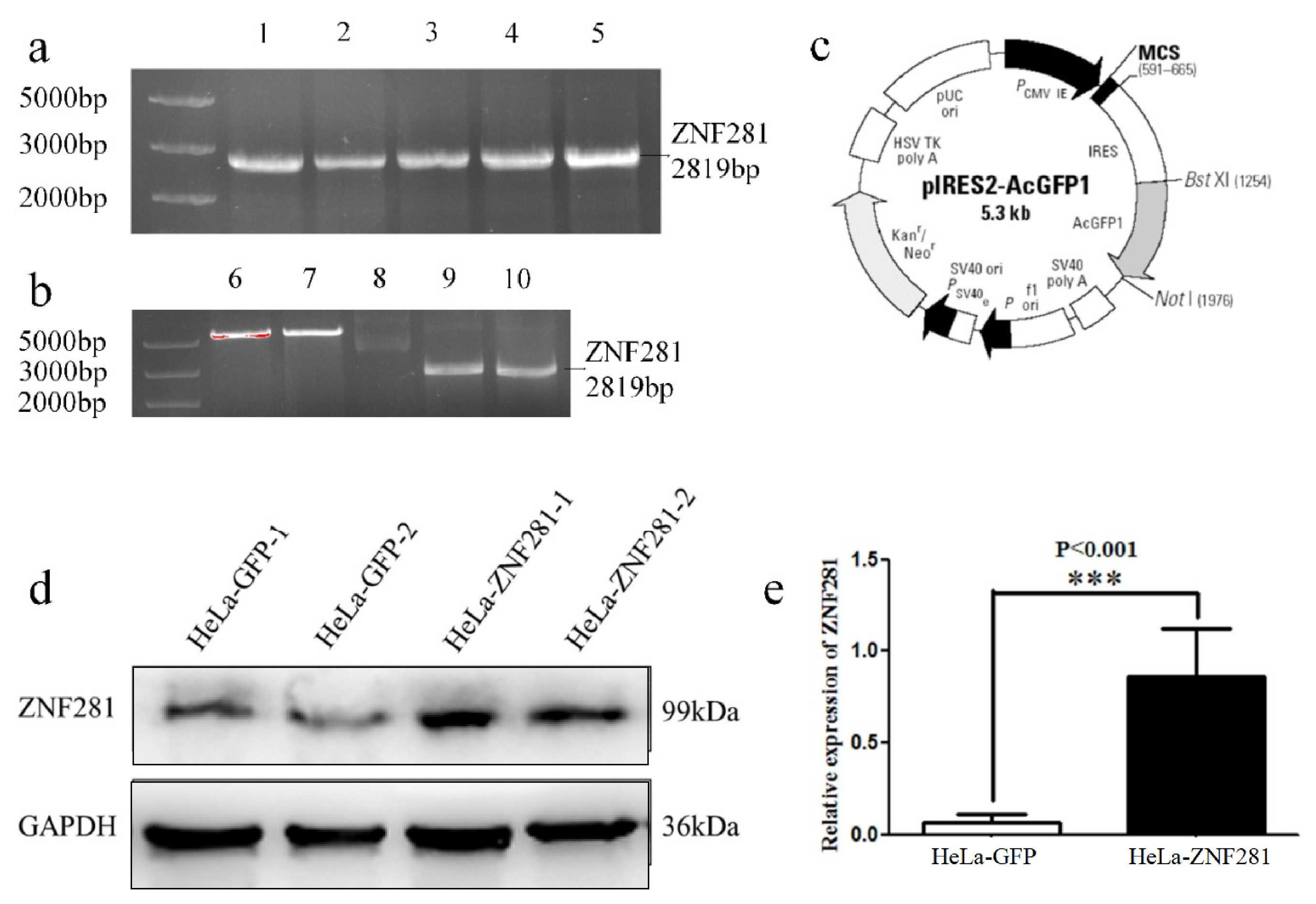 Cancers 16 03717 g002