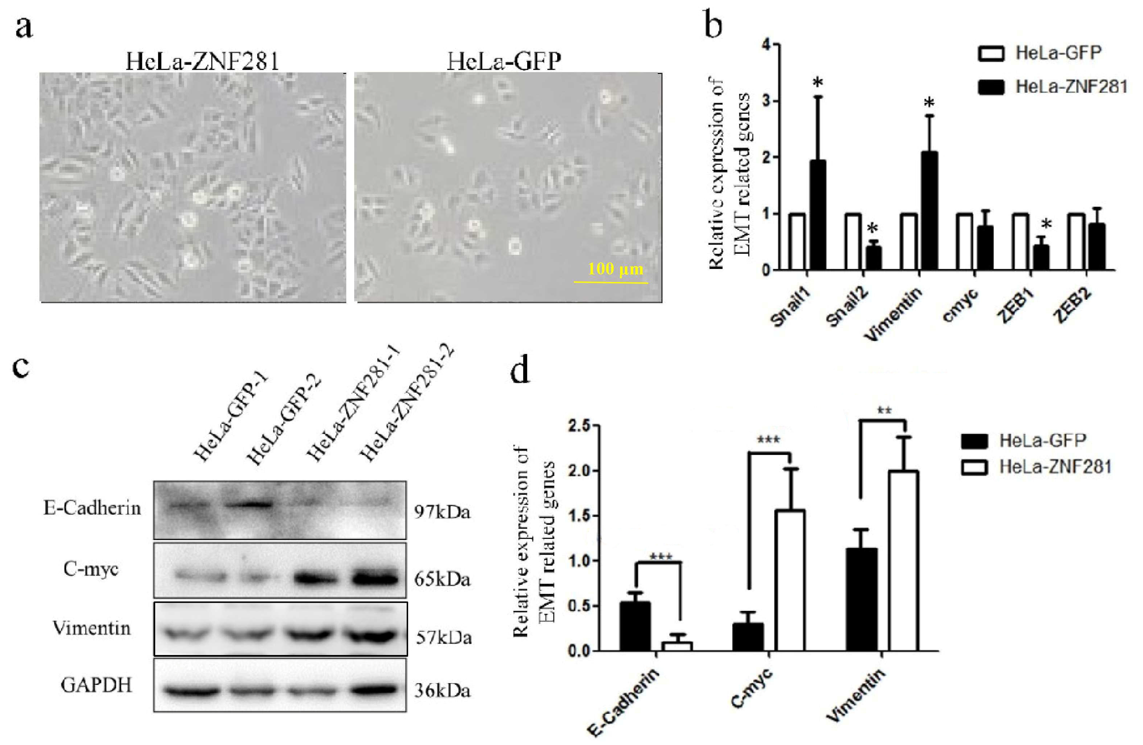 Cancers 16 03717 g006