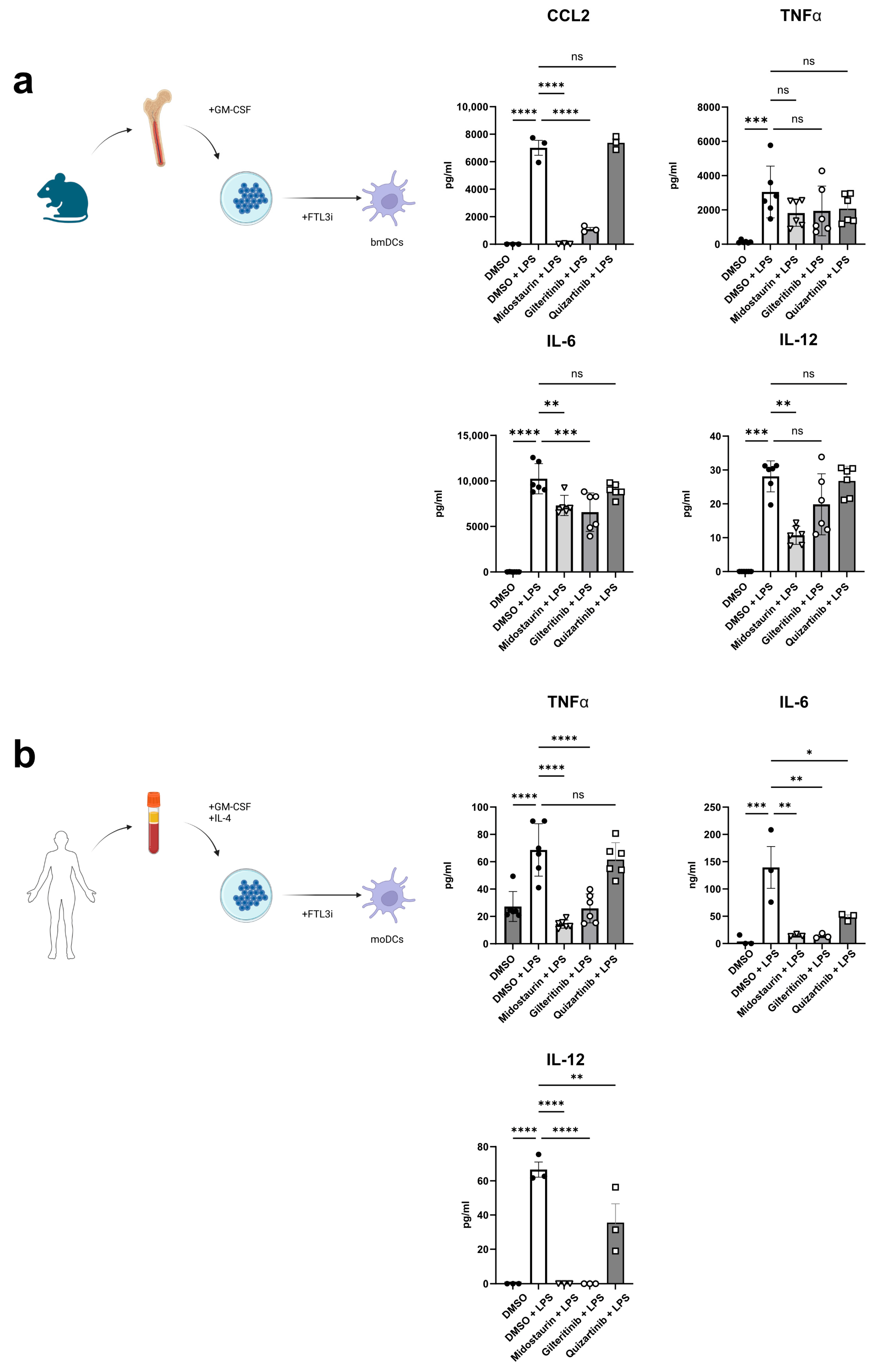 Cancers 16 03719 g002