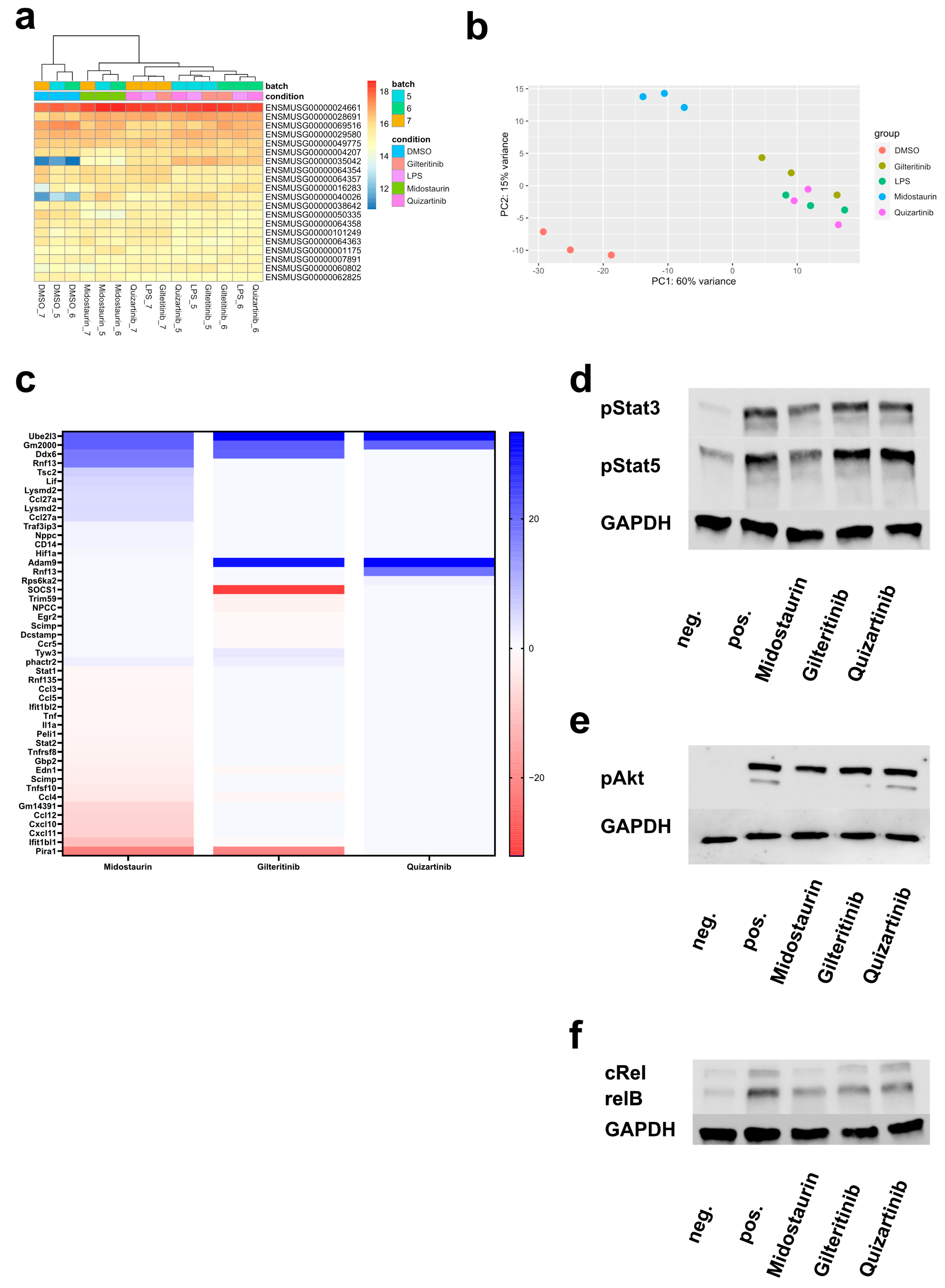 Cancers 16 03719 g003