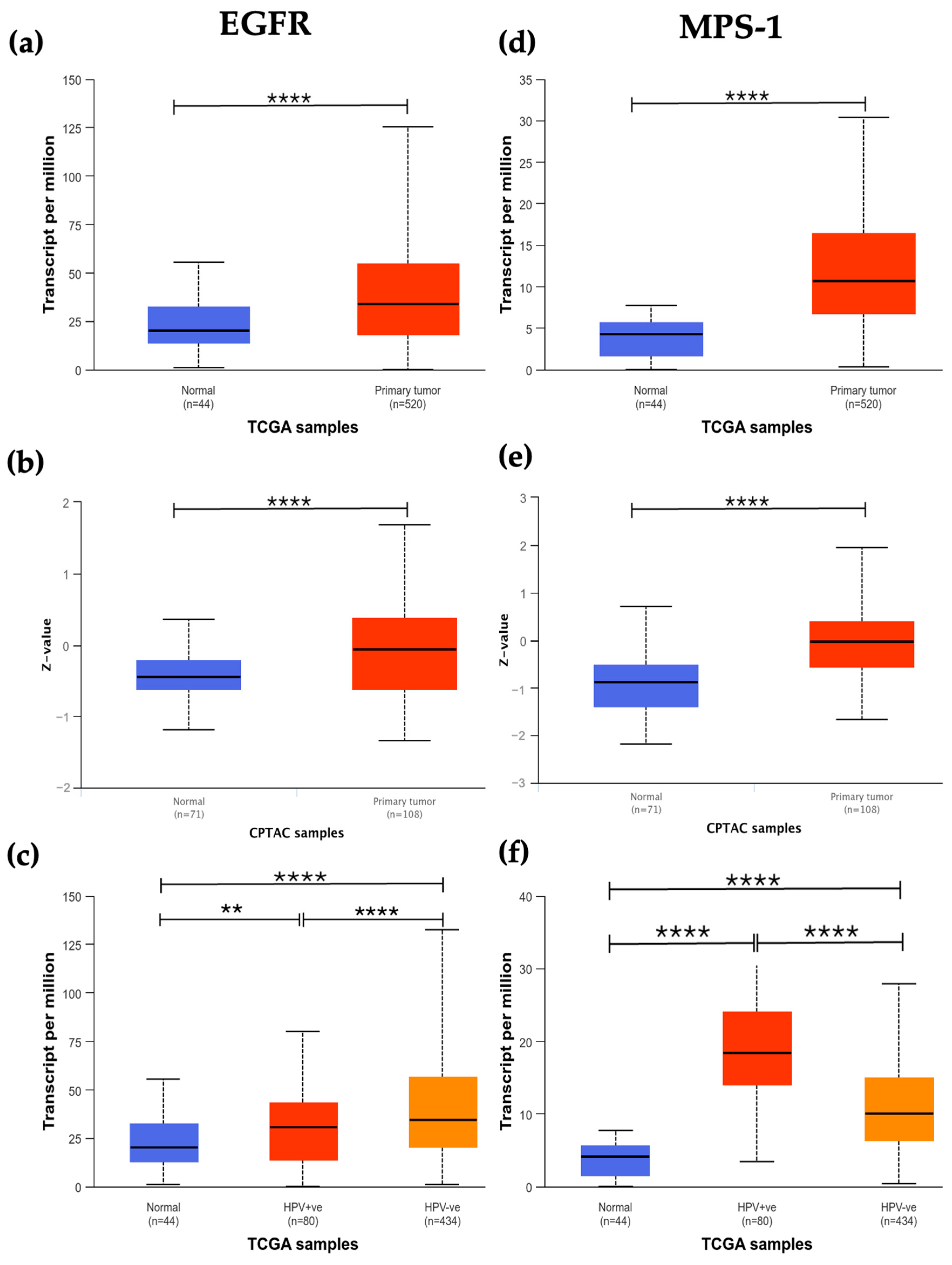 Cancers 16 03732 g001a
