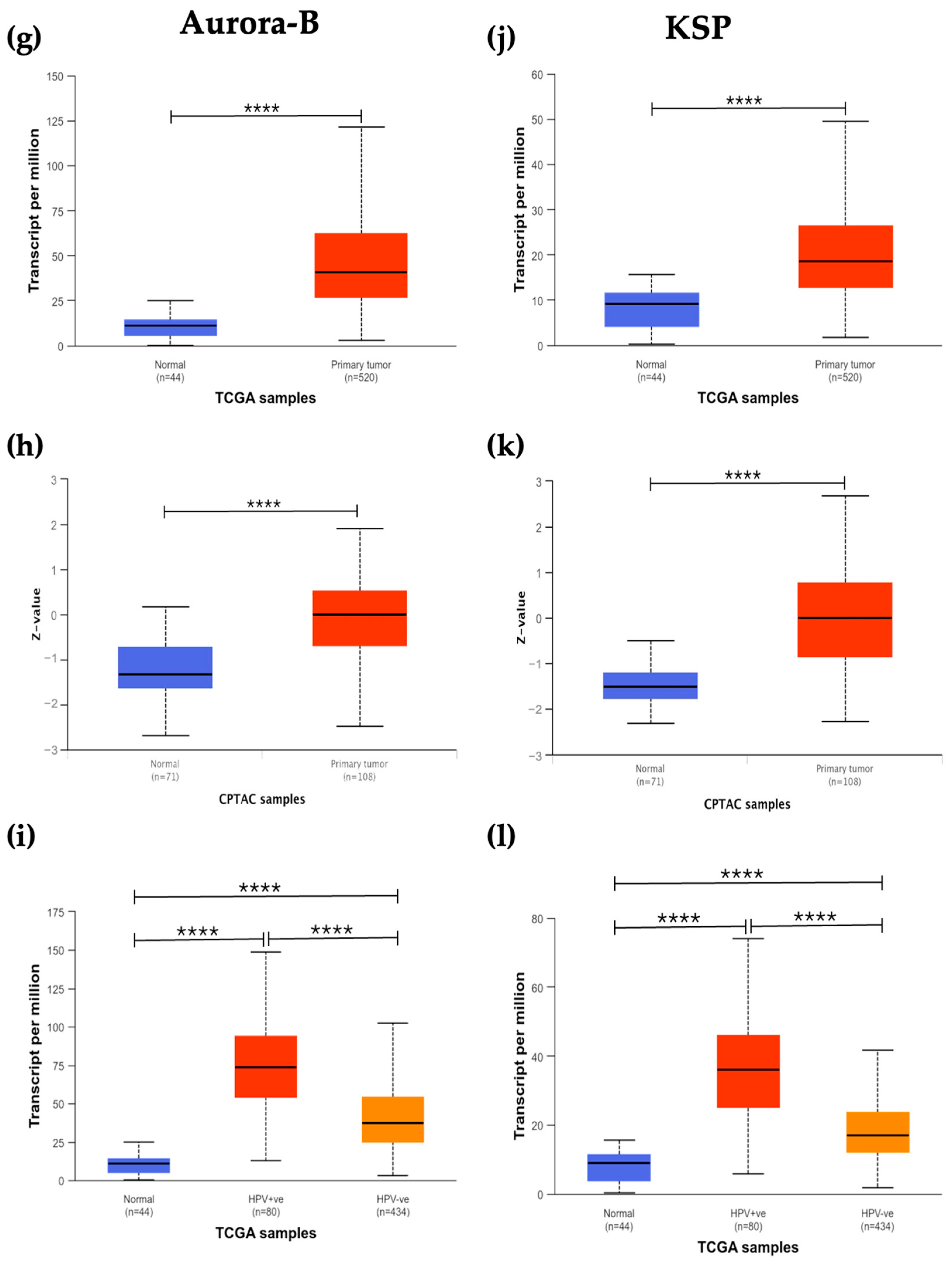 Cancers 16 03732 g001b