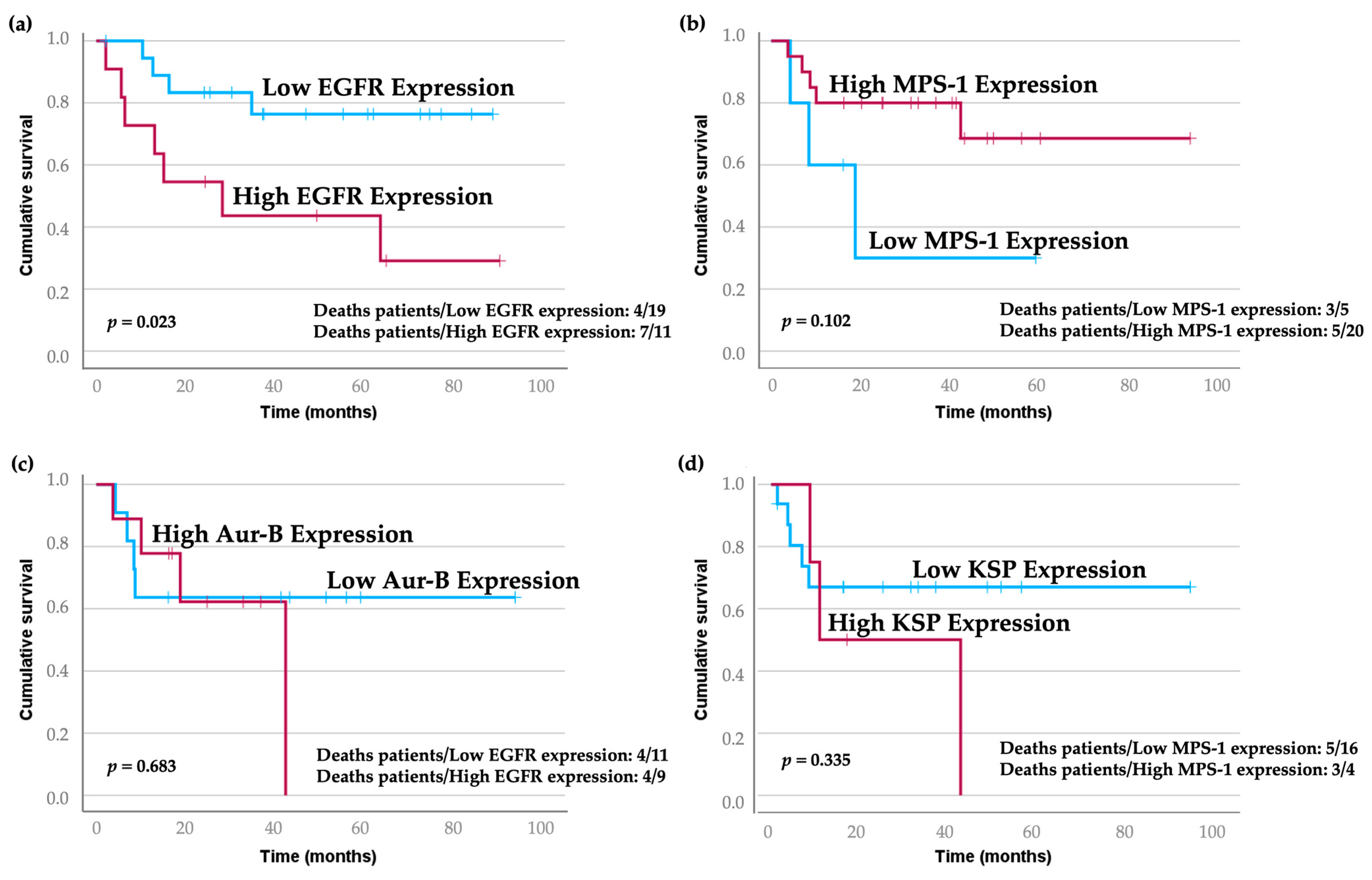 Cancers 16 03732 g005