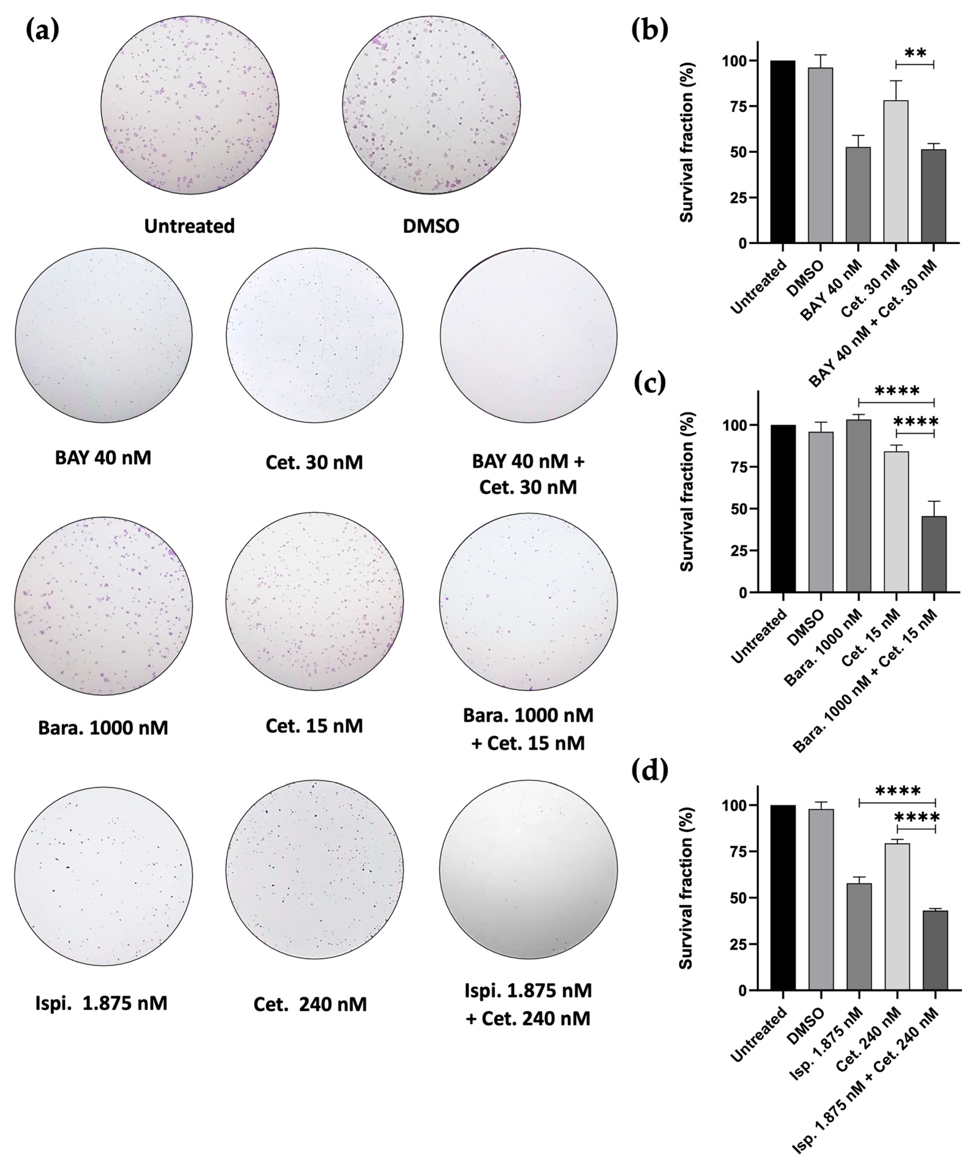 Cancers 16 03732 g008
