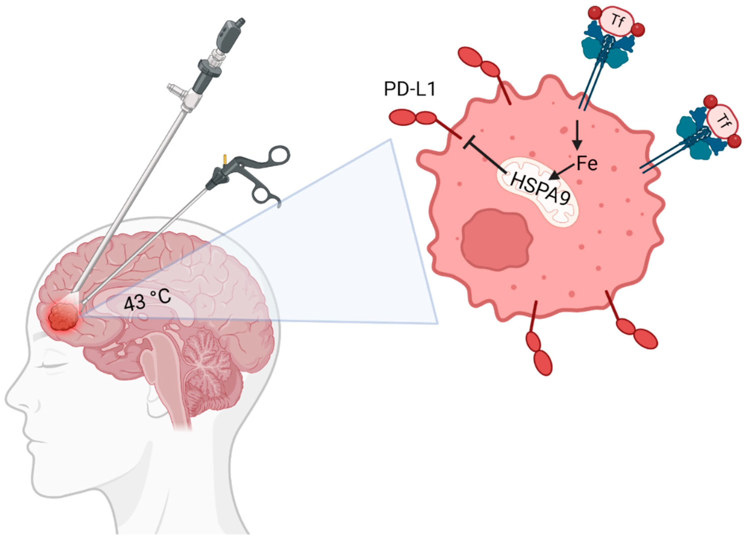 Cancers 16 03736 g005