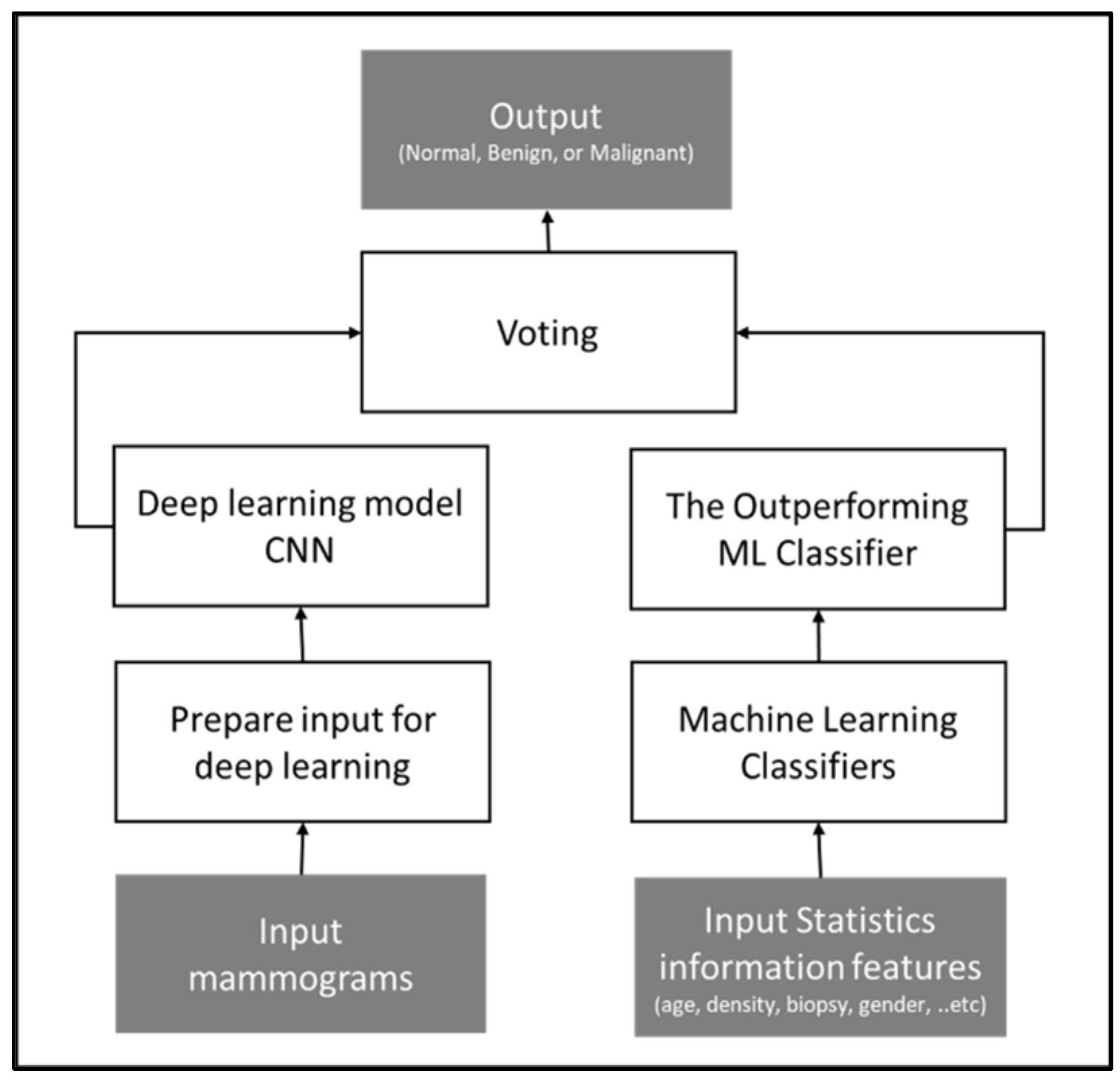 Cancers 16 03740 g004