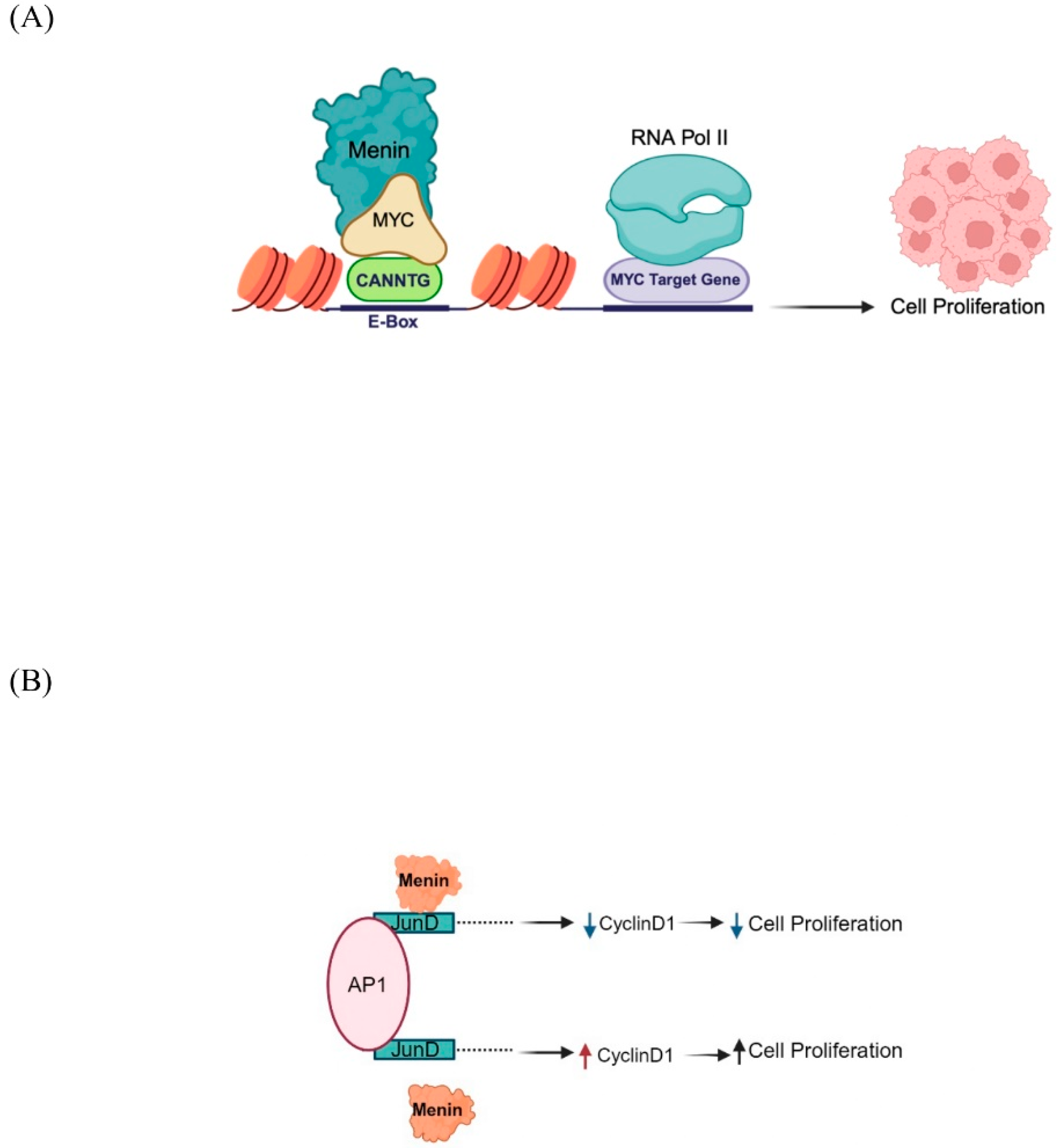 Cancers 16 03743 g003
