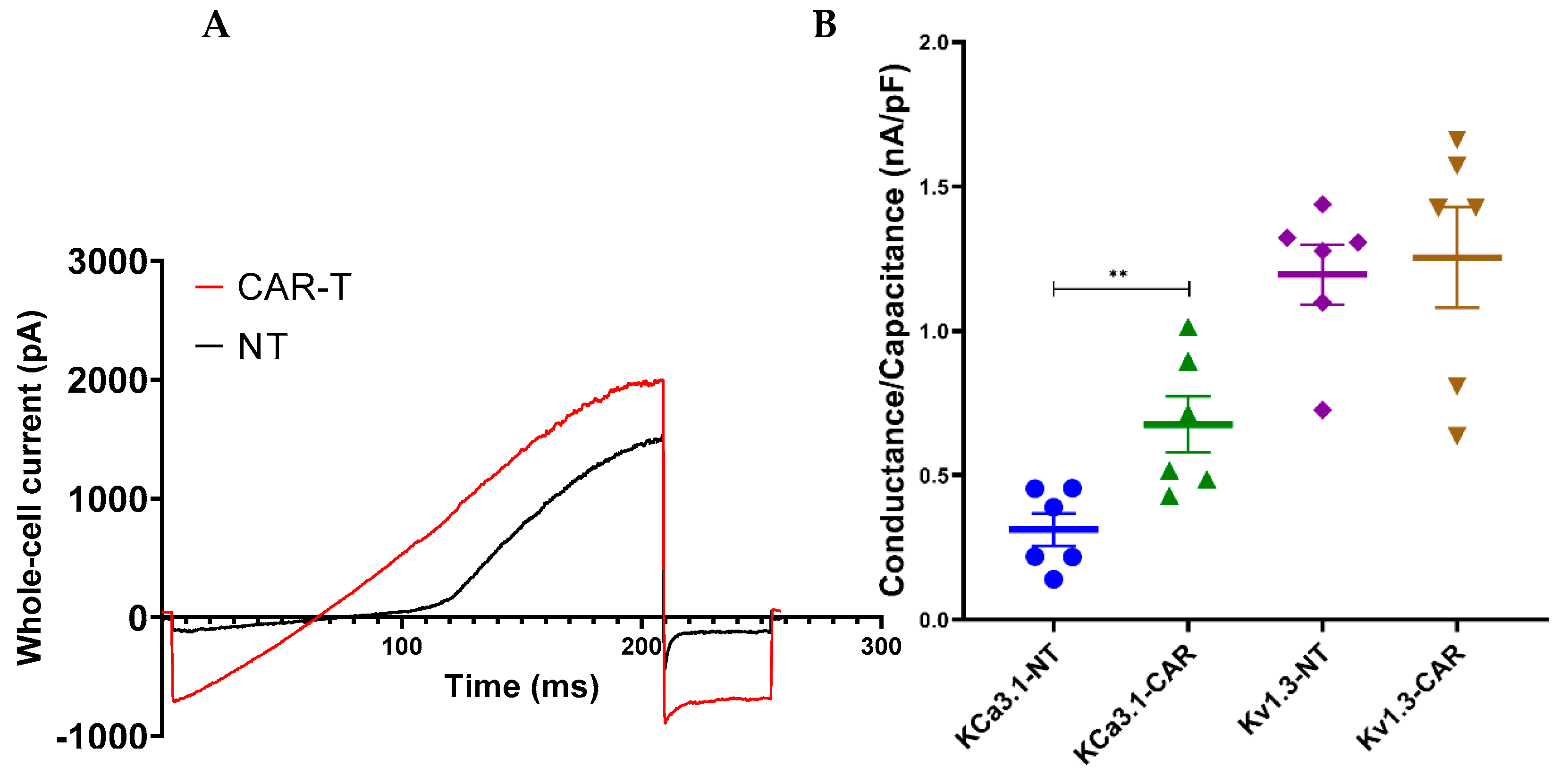 Cancers 16 03750 g001