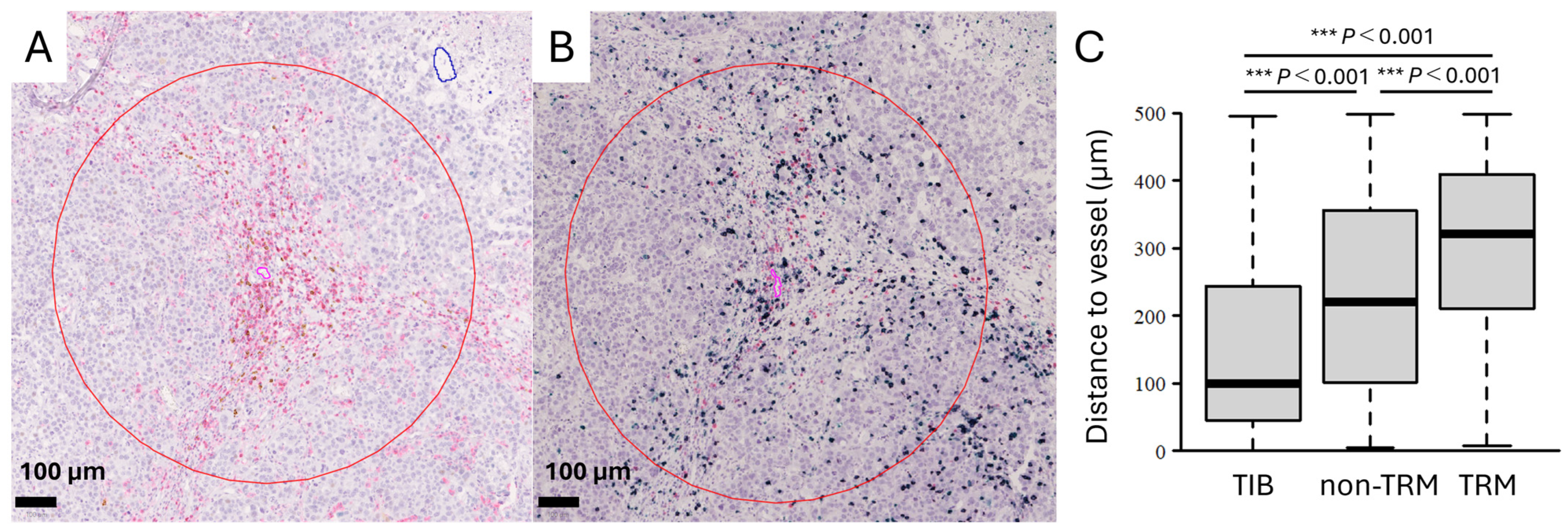 Cancers 16 03765 g002