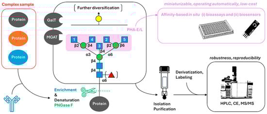 Cancers 16 03786 g003