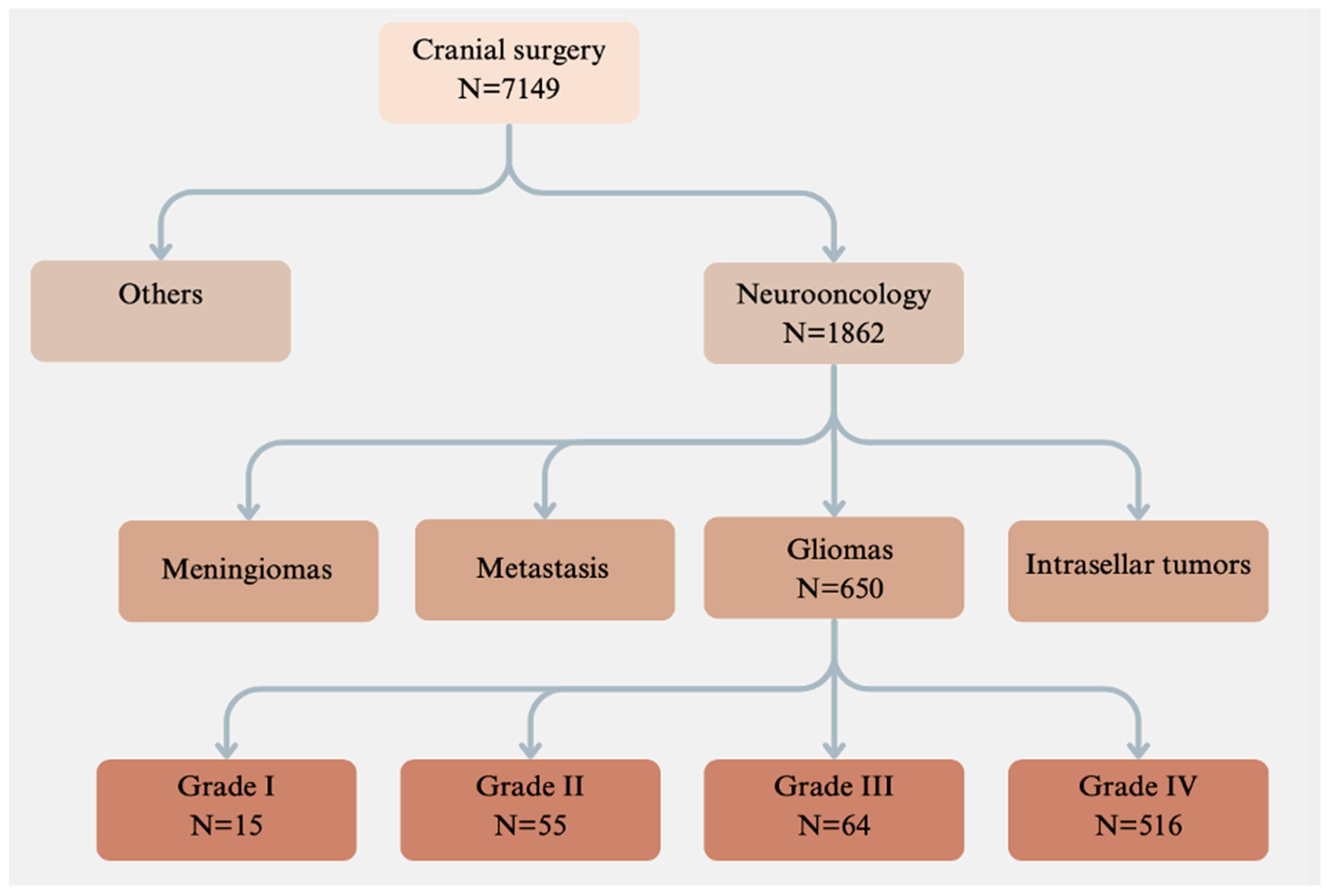 Cancers 16 03845 g001