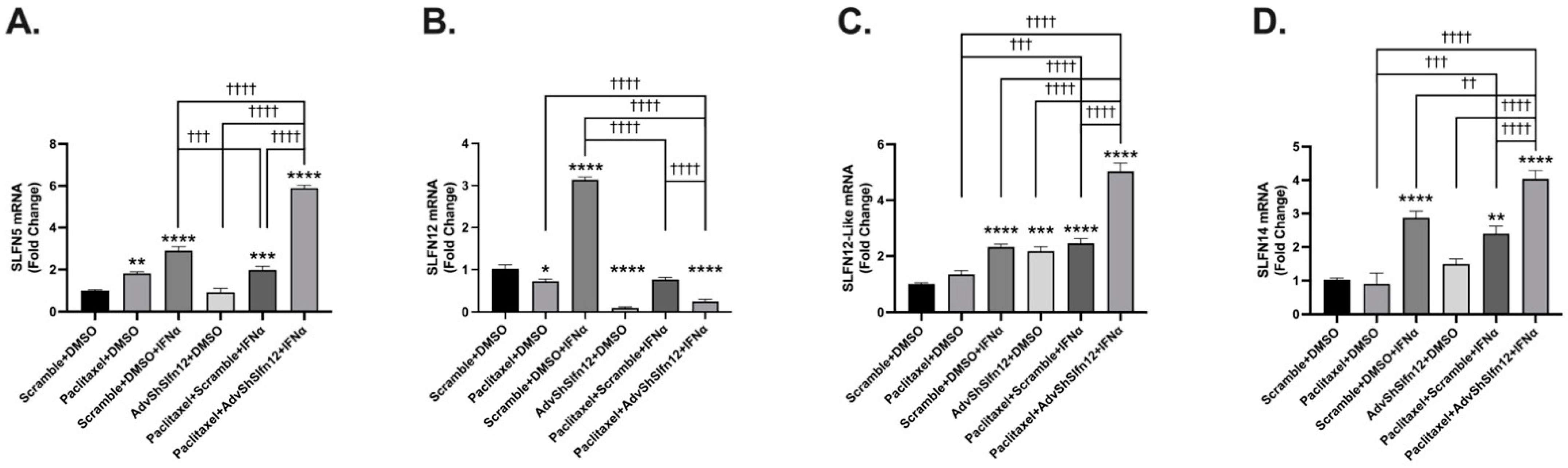 Cancers 16 03848 g002
