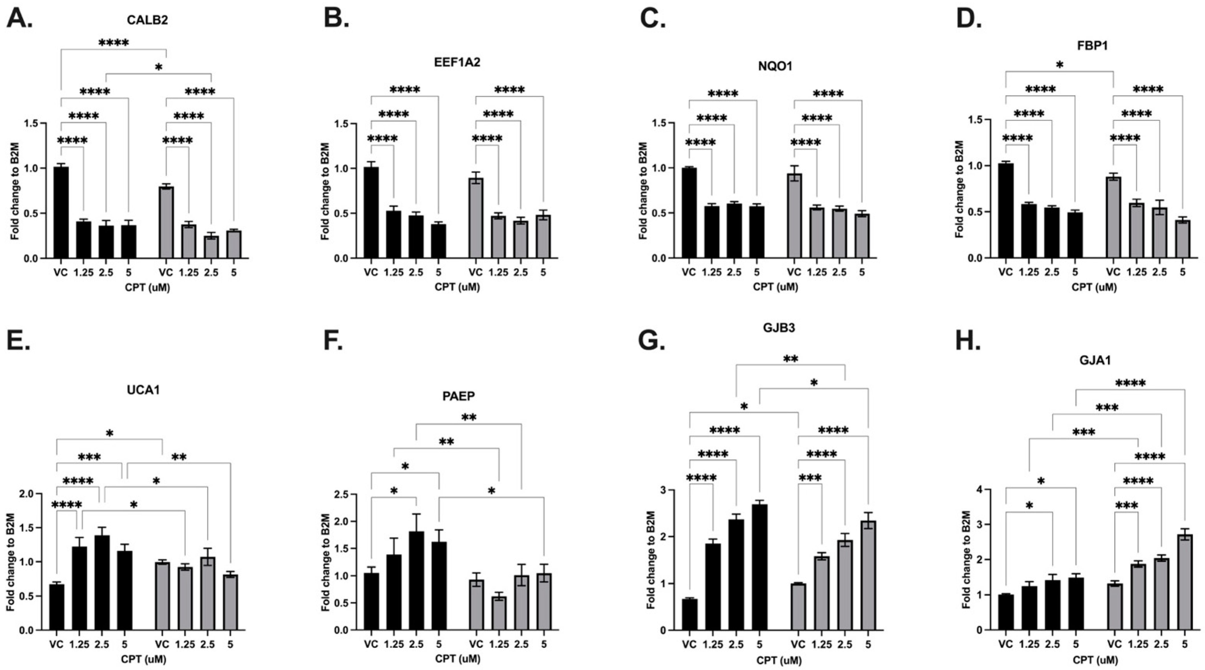 Cancers 16 03848 g005