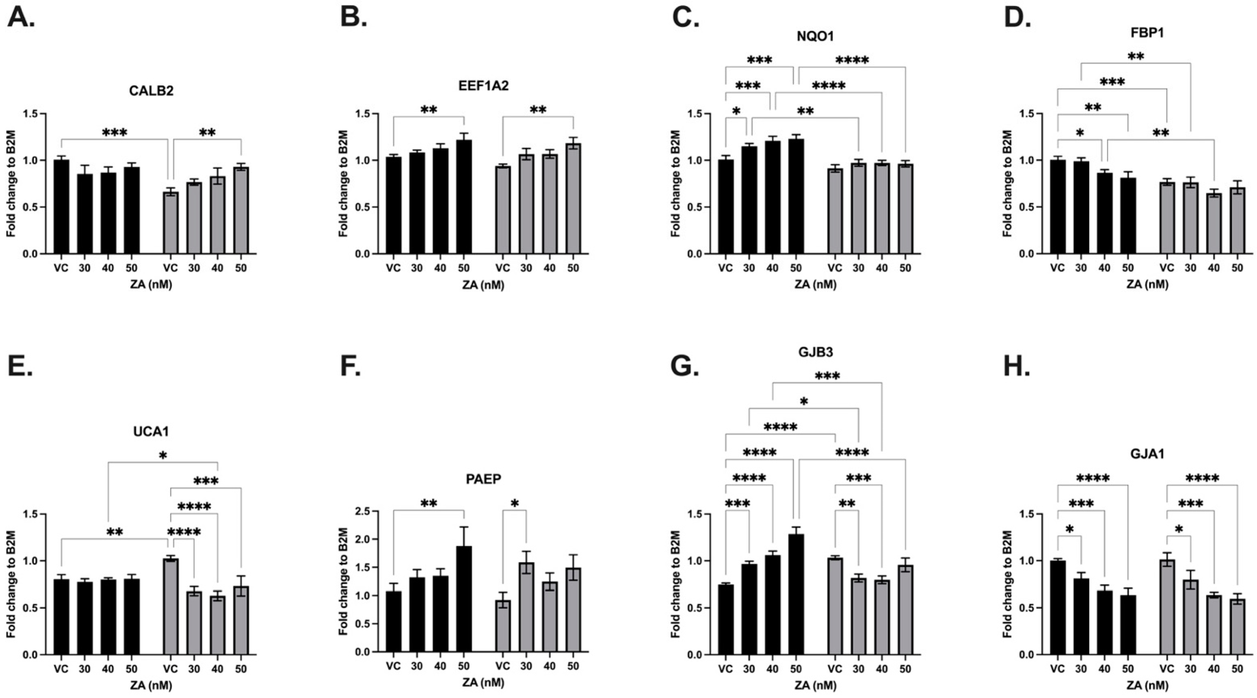 Cancers 16 03848 g006