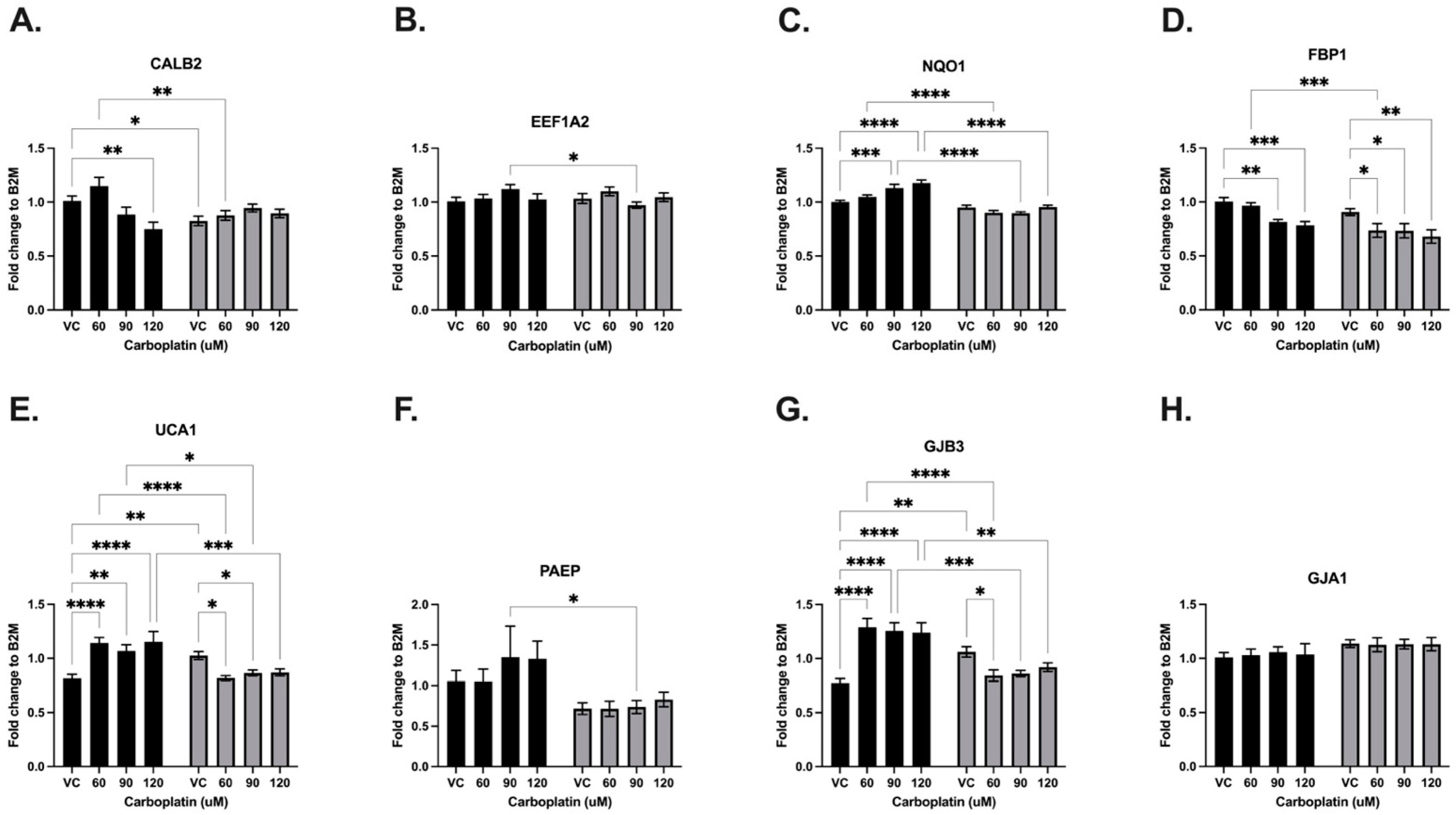 Cancers 16 03848 g008